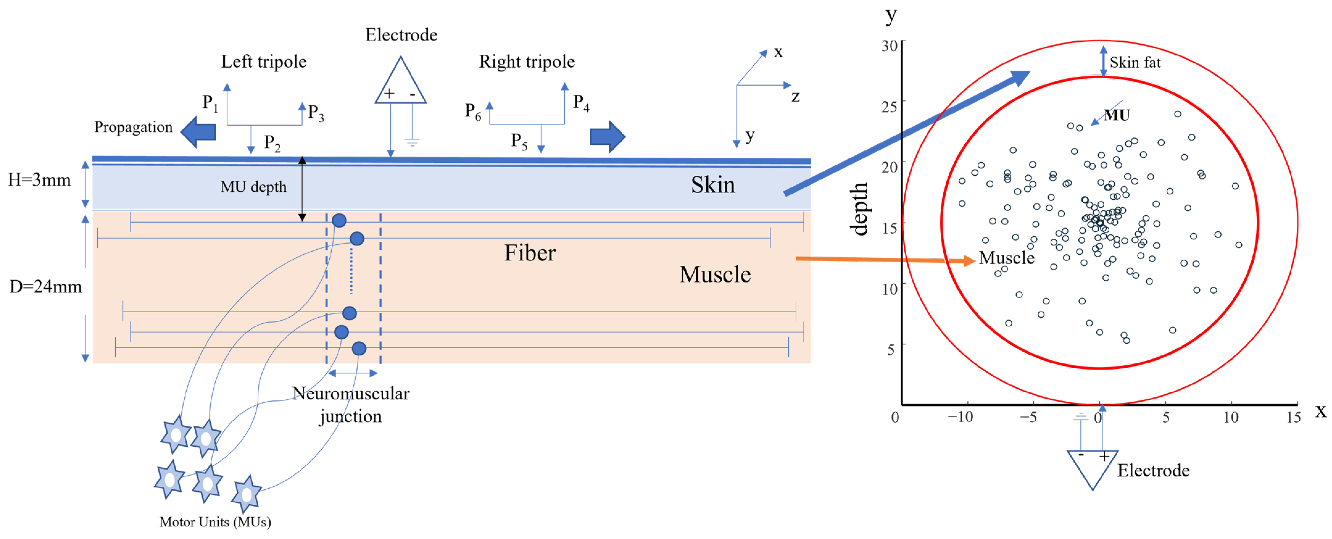 Bioengineering 10 00469 g001
