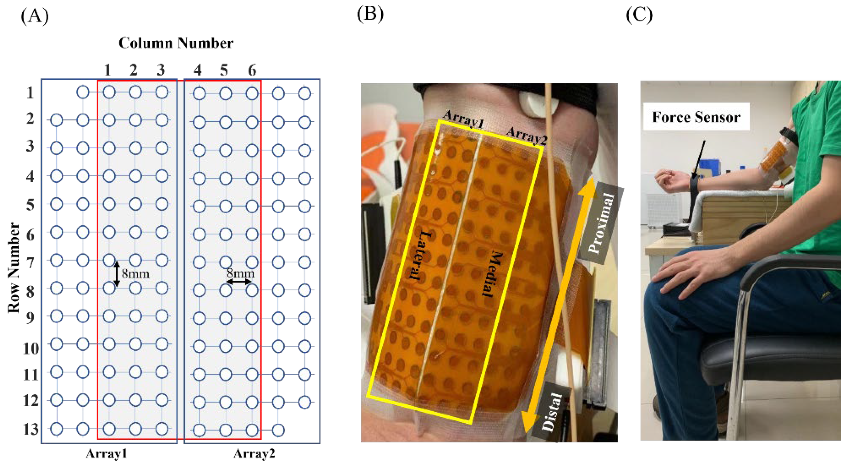 Bioengineering 10 00469 g003
