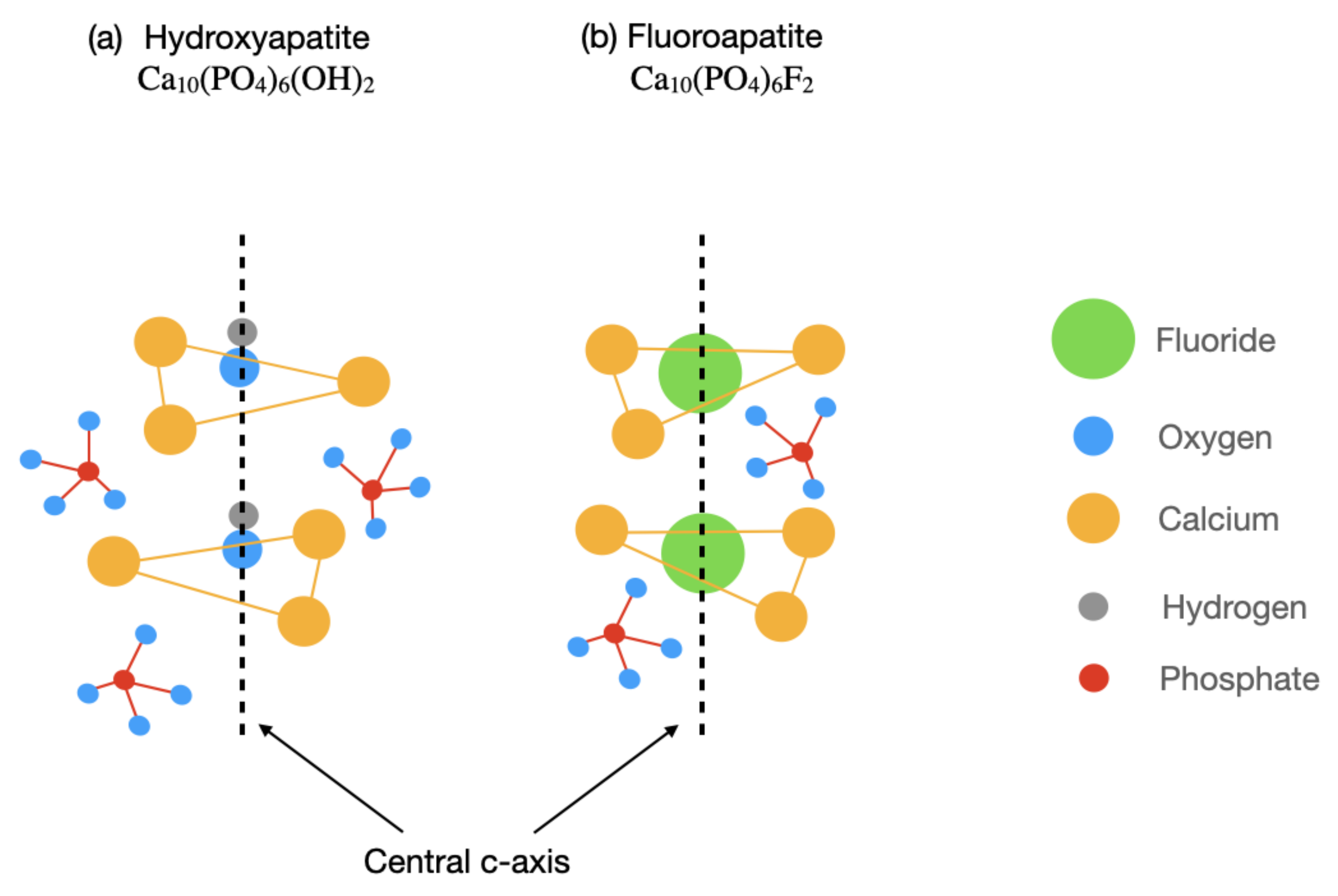 Bioengineering 10 00472 g003 Bioengineering 10 00472 g003