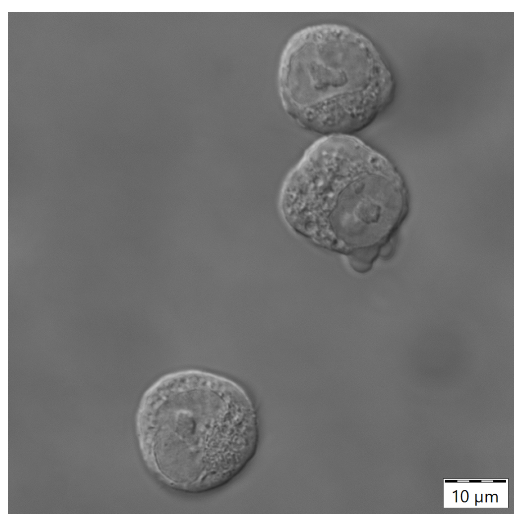 Bioengineering 10 00478 g0a3 Bioengineering 10 00478 g0a3