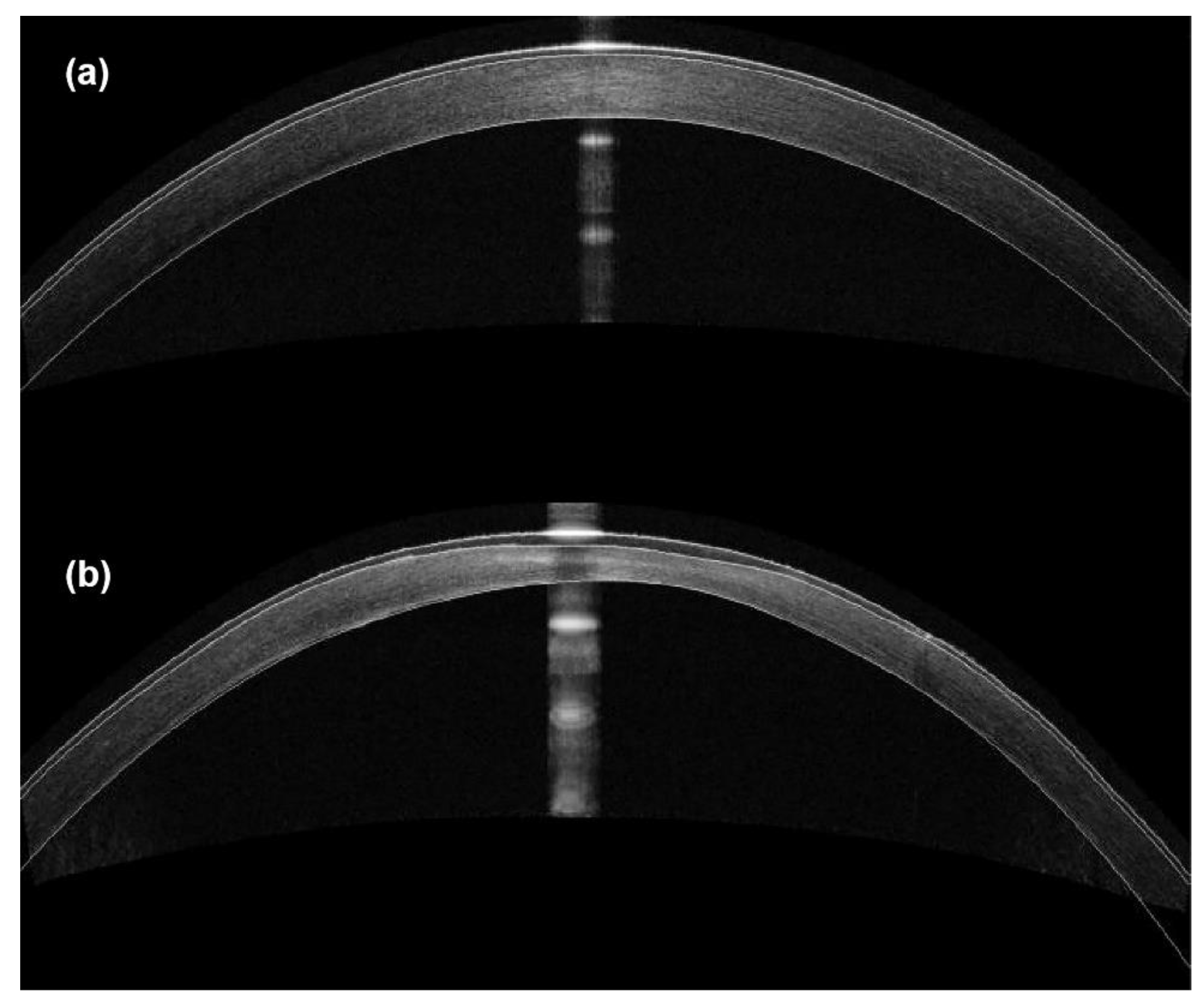 Bioengineering 10 00479 g005 Bioengineering 10 00479 g005