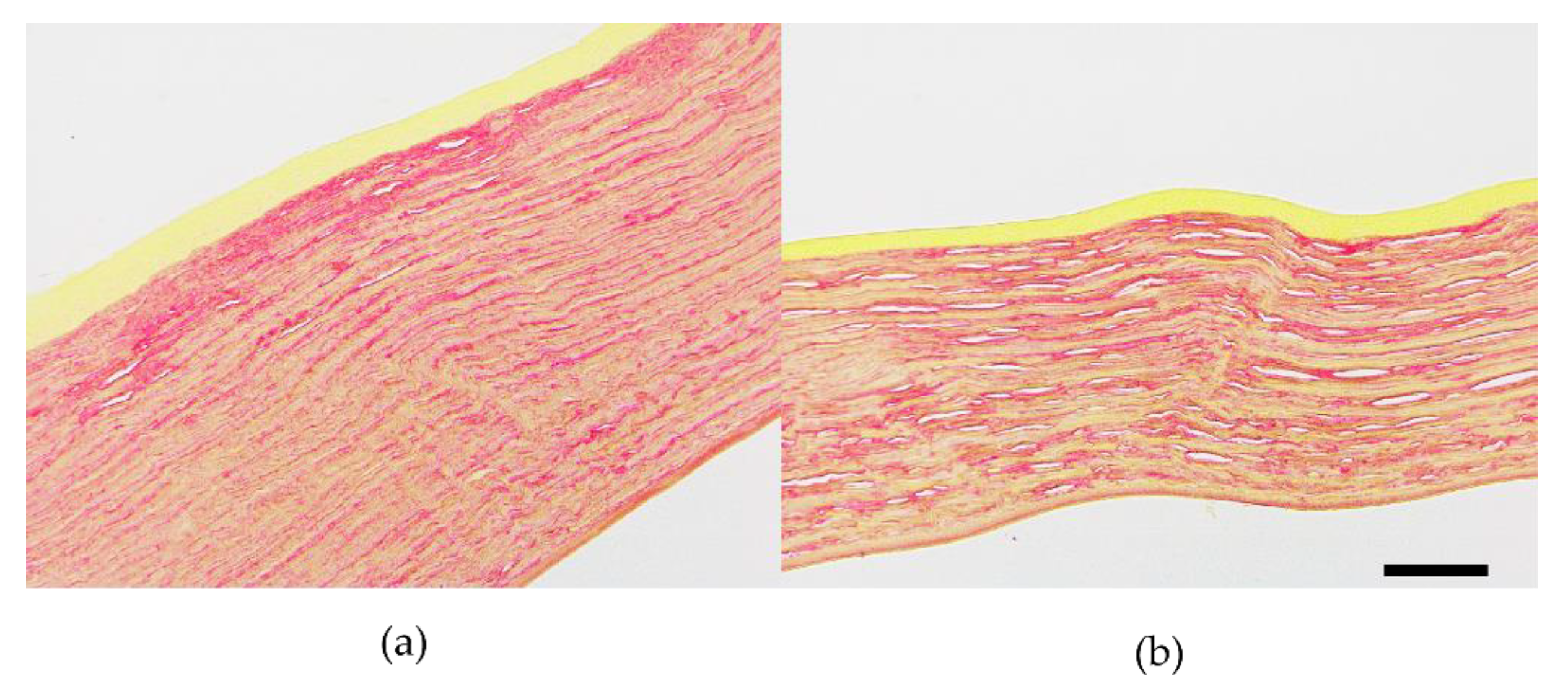 Bioengineering 10 00479 g010 Bioengineering 10 00479 g010