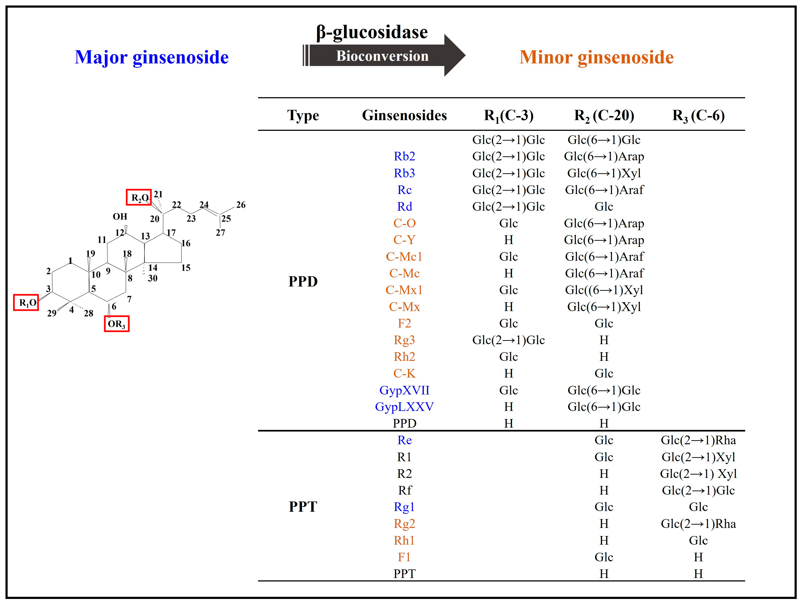 Bioengineering 10 00484 g001