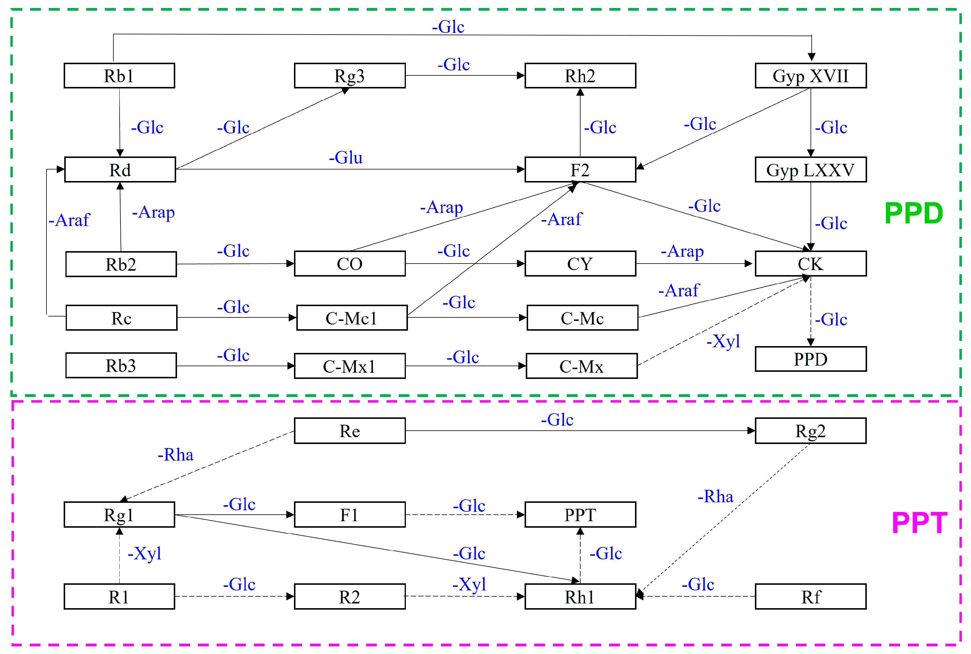 Bioengineering 10 00484 g002