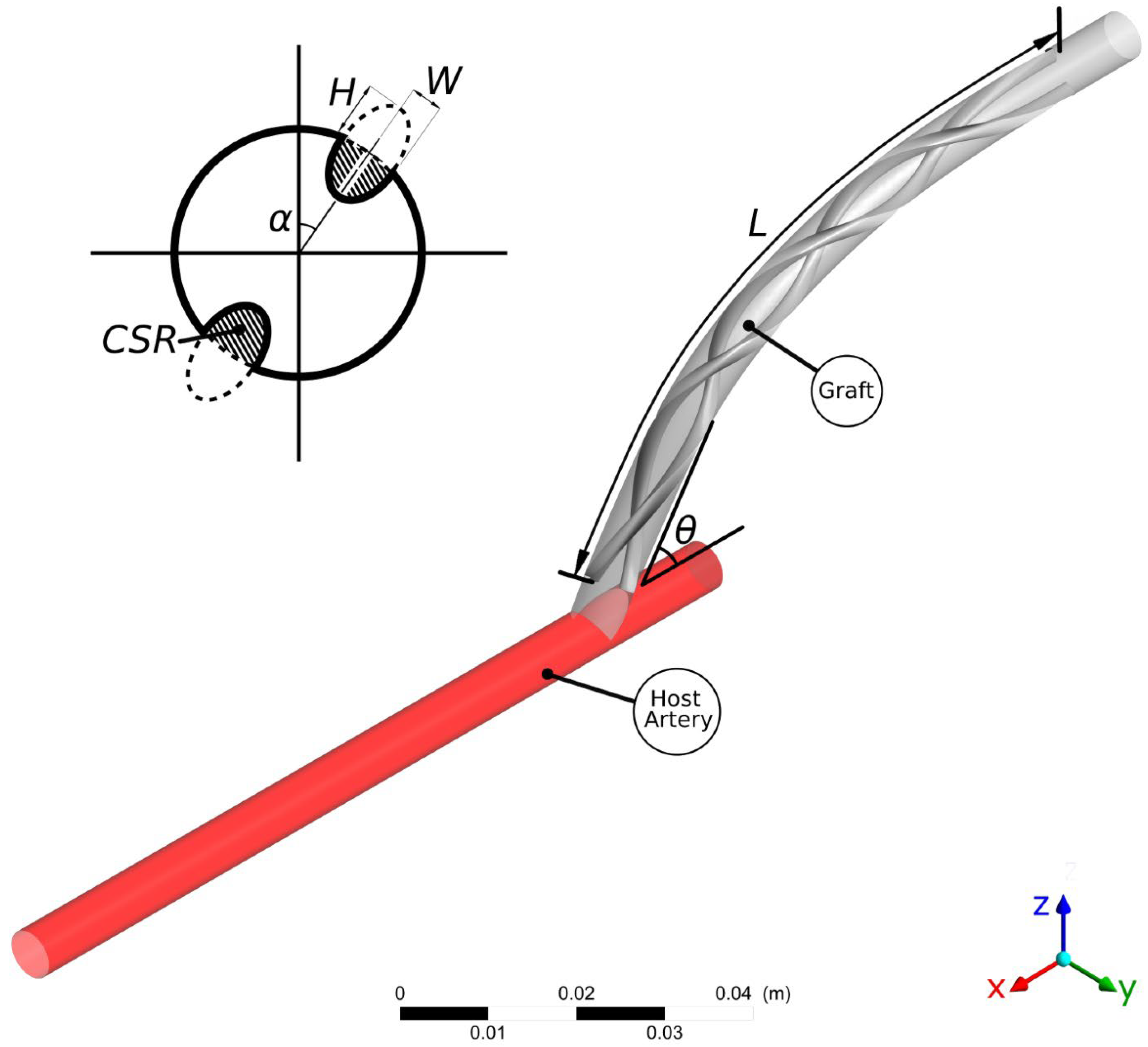 Bioengineering 10 00489 g001 Bioengineering 10 00489 g001