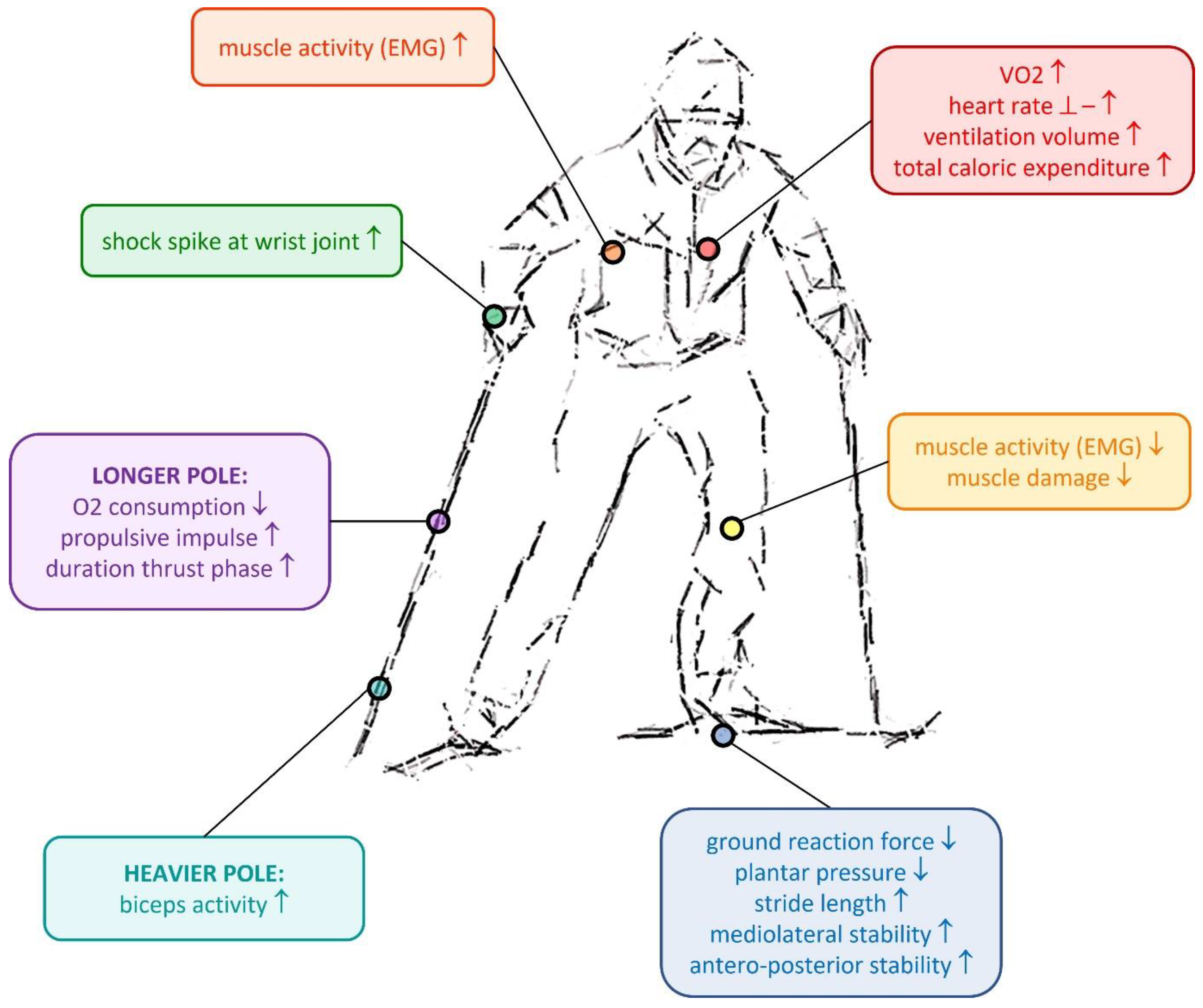 Bioengineering 10 00497 g002 Bioengineering 10 00497 g002