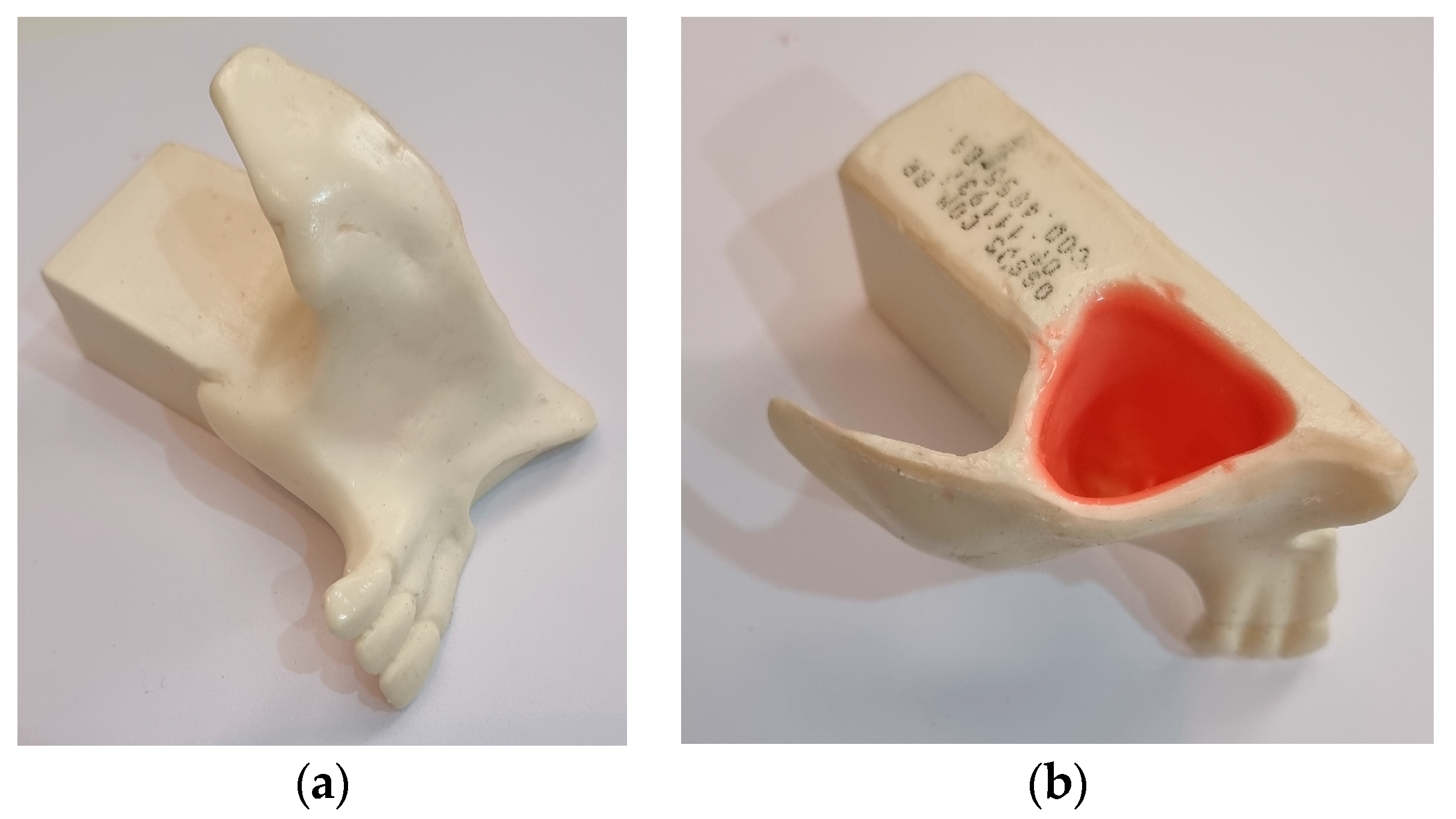 Bioengineering 10 00505 g001