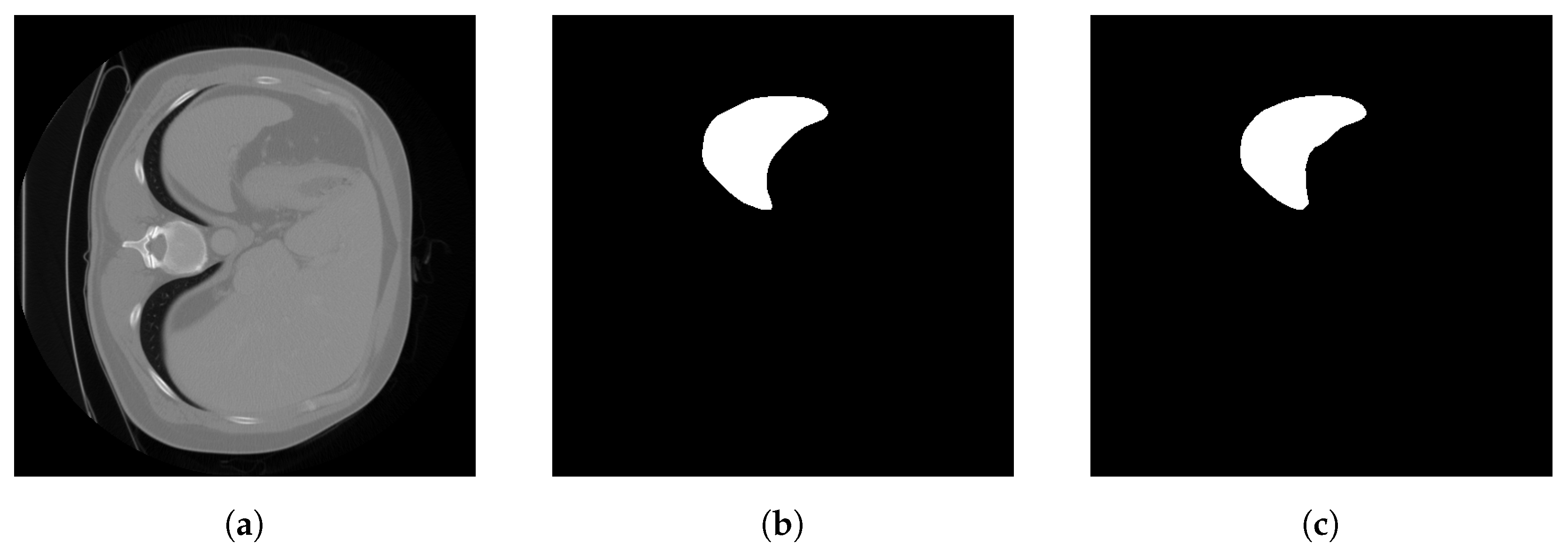 Bioengineering 10 00506 g003