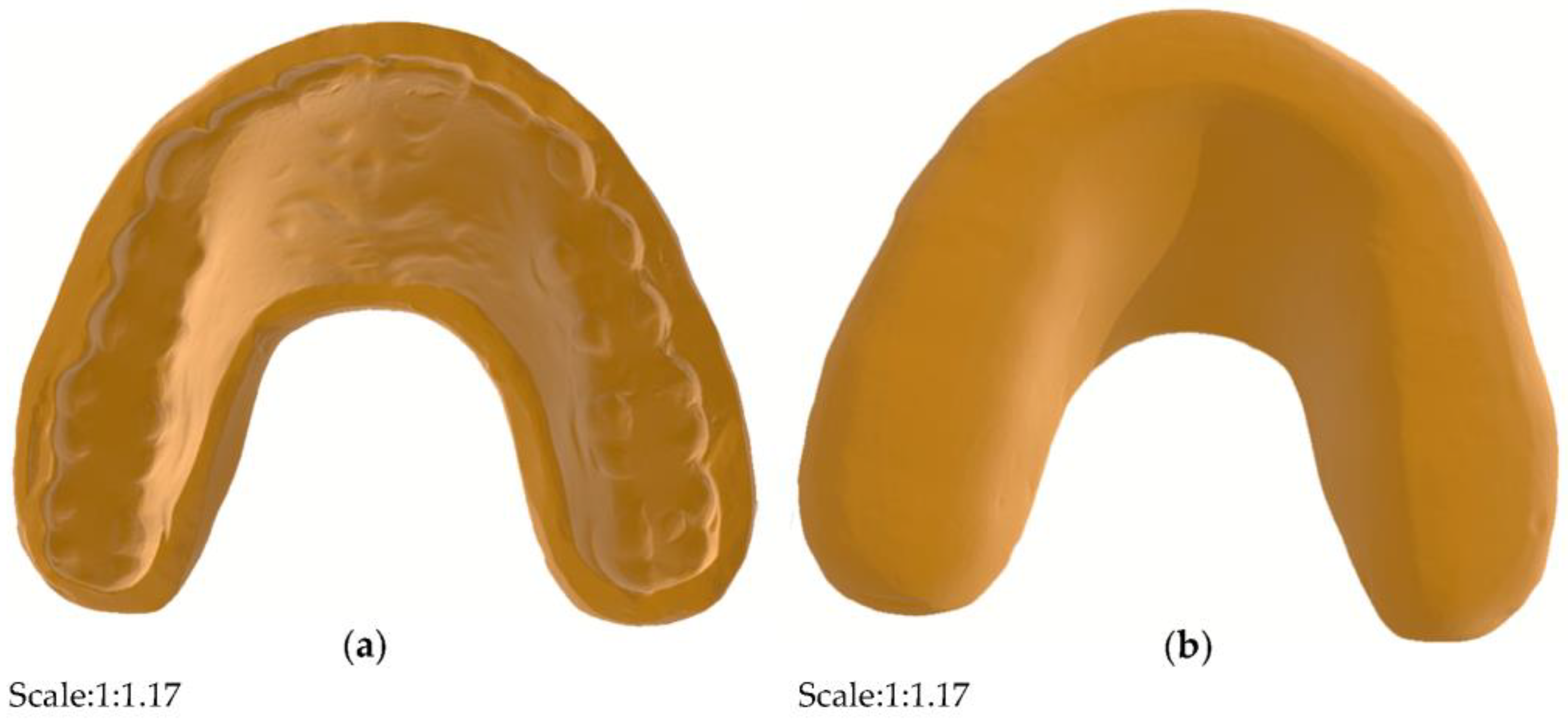 Bioengineering 10 00507 g002