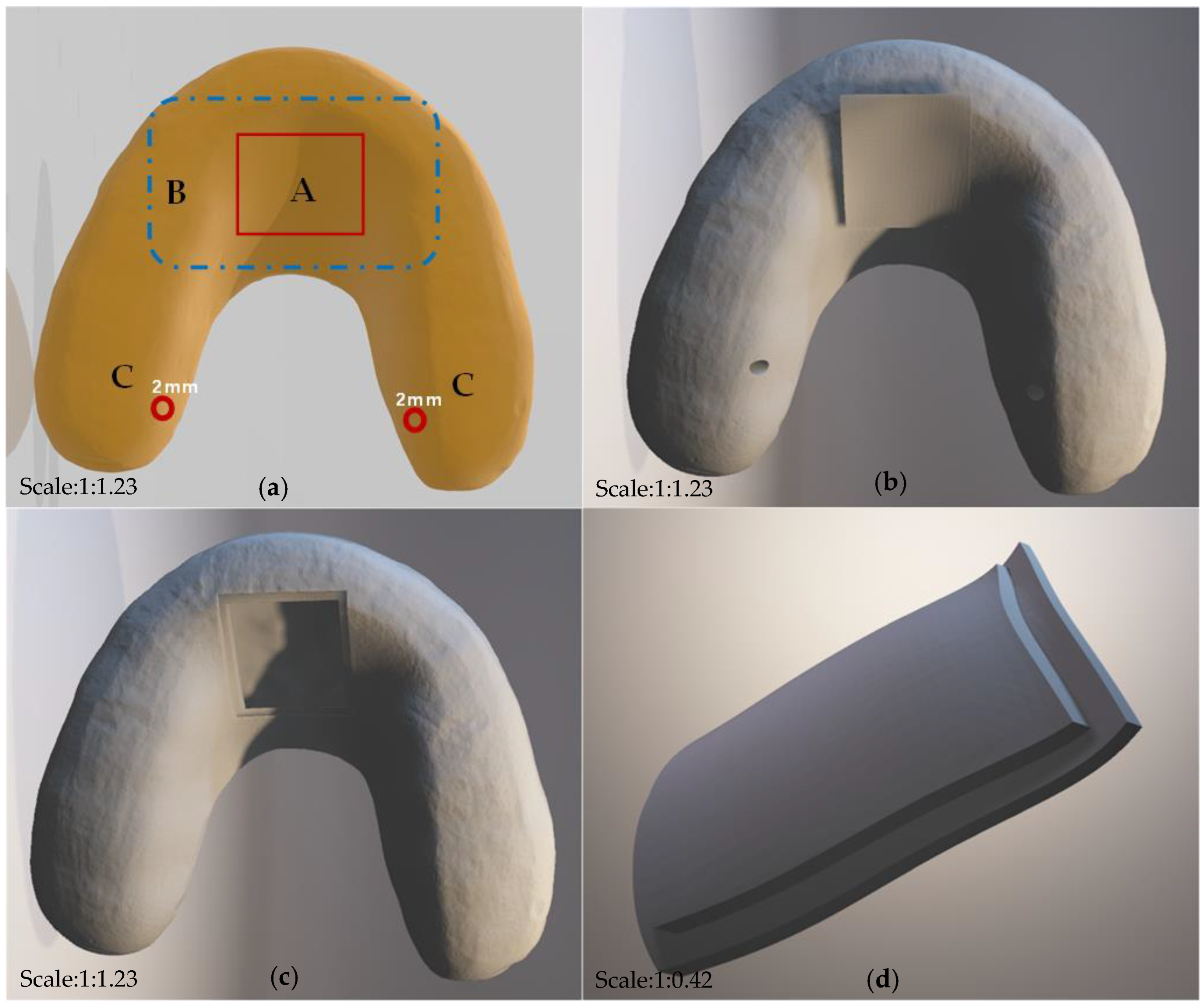 Bioengineering 10 00507 g003