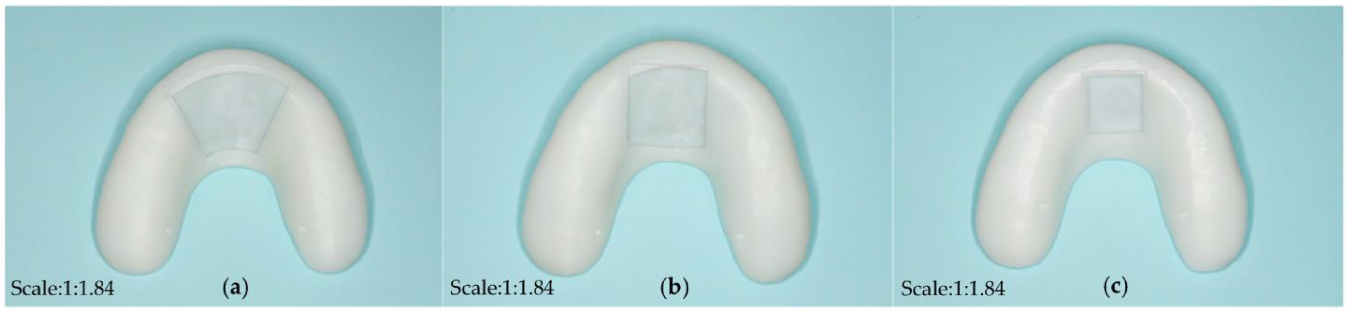 Bioengineering 10 00507 g004