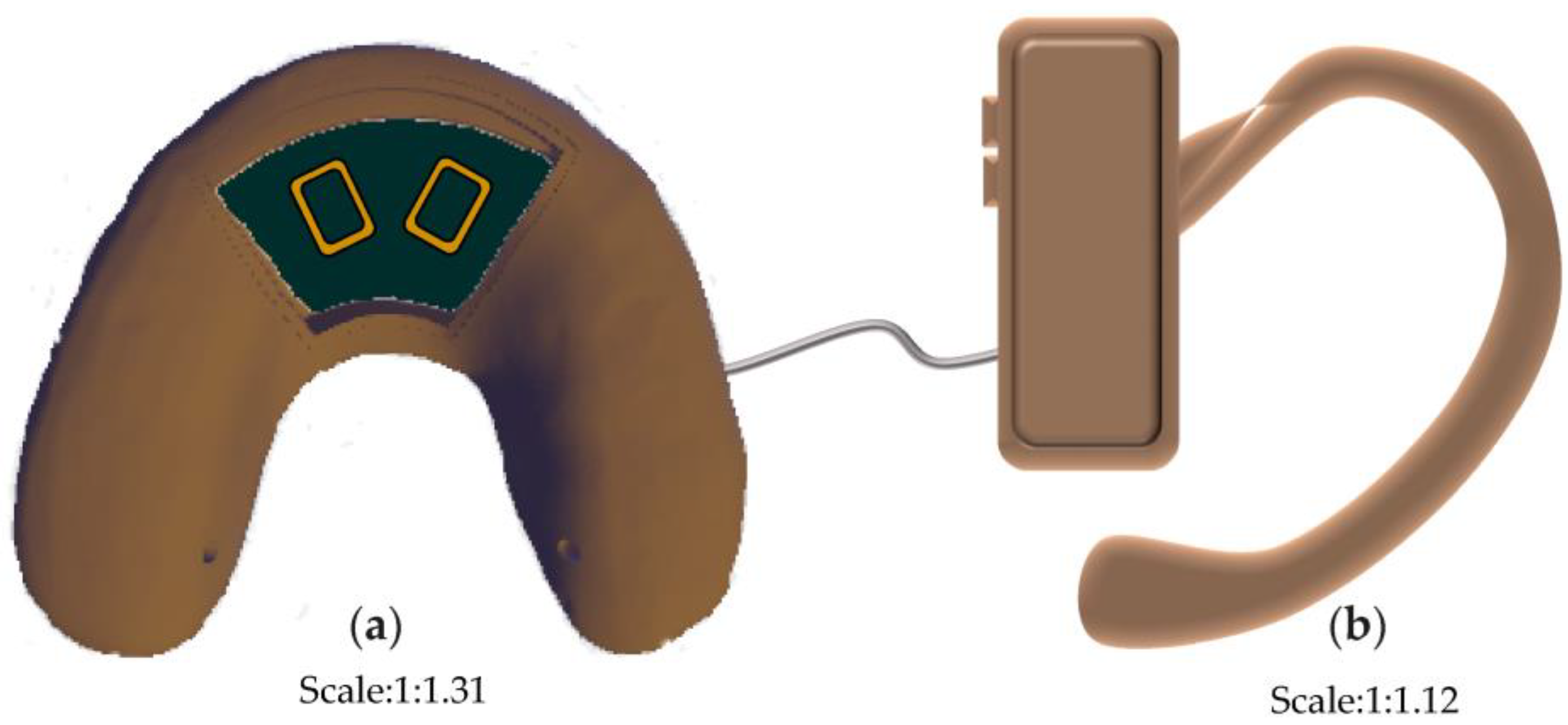 Bioengineering 10 00507 g006