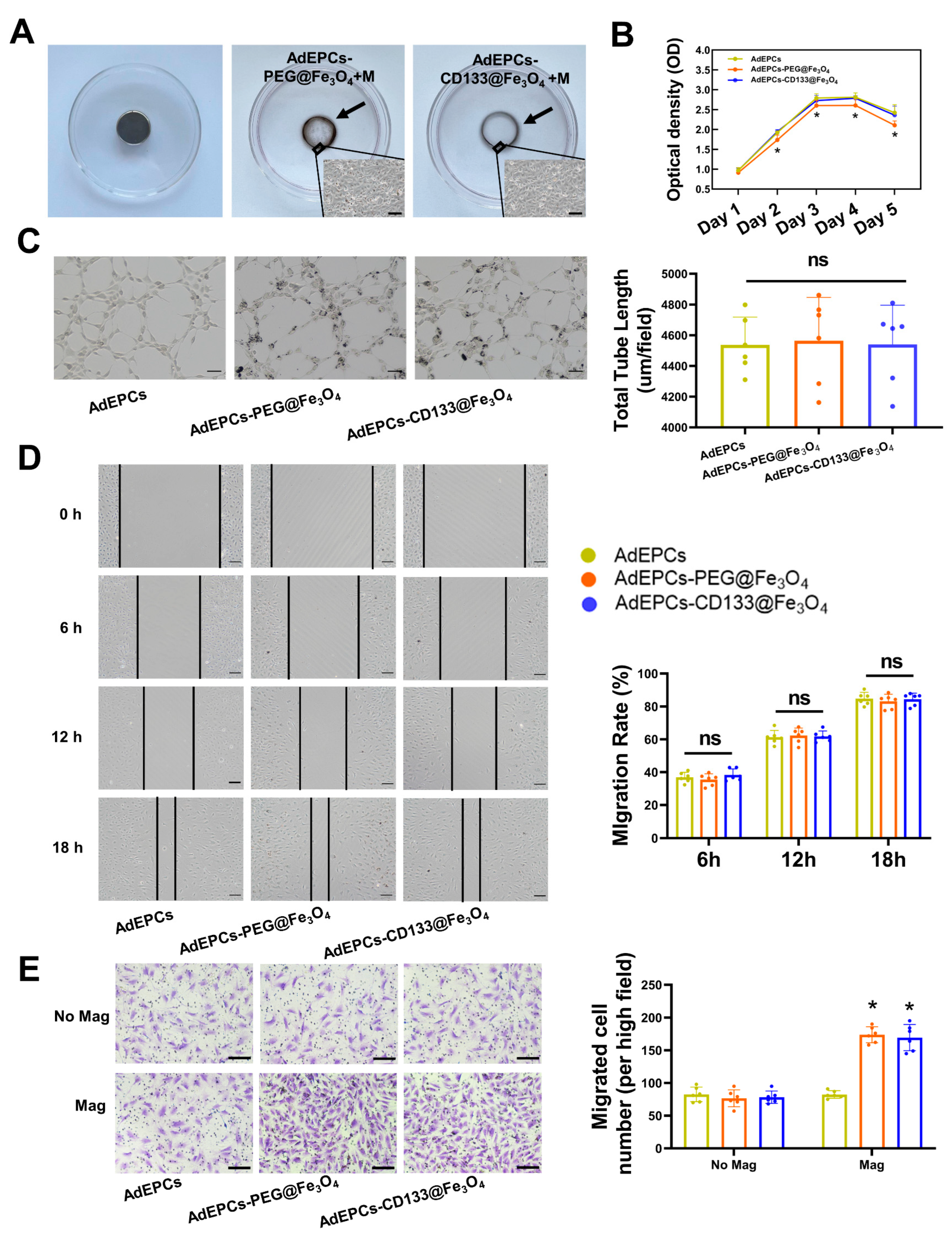 Bioengineering 10 00509 g006