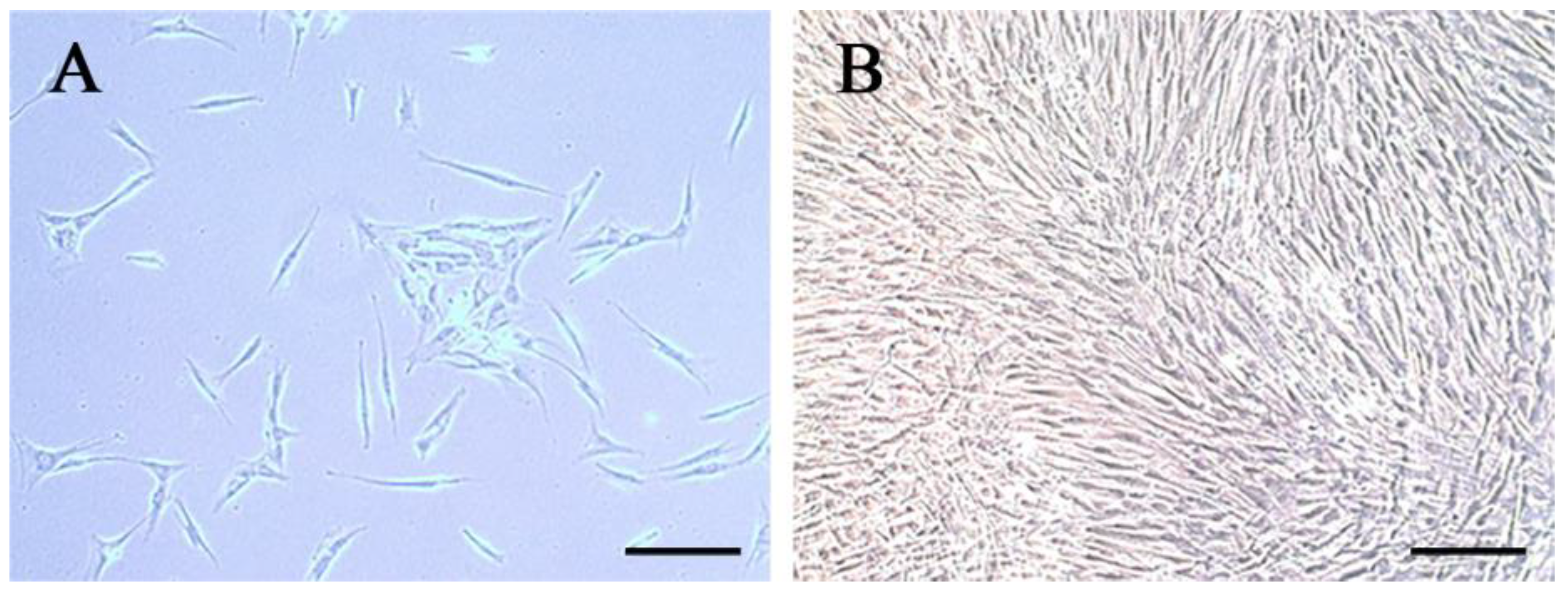 Bioengineering 10 00513 g001 Bioengineering 10 00513 g001