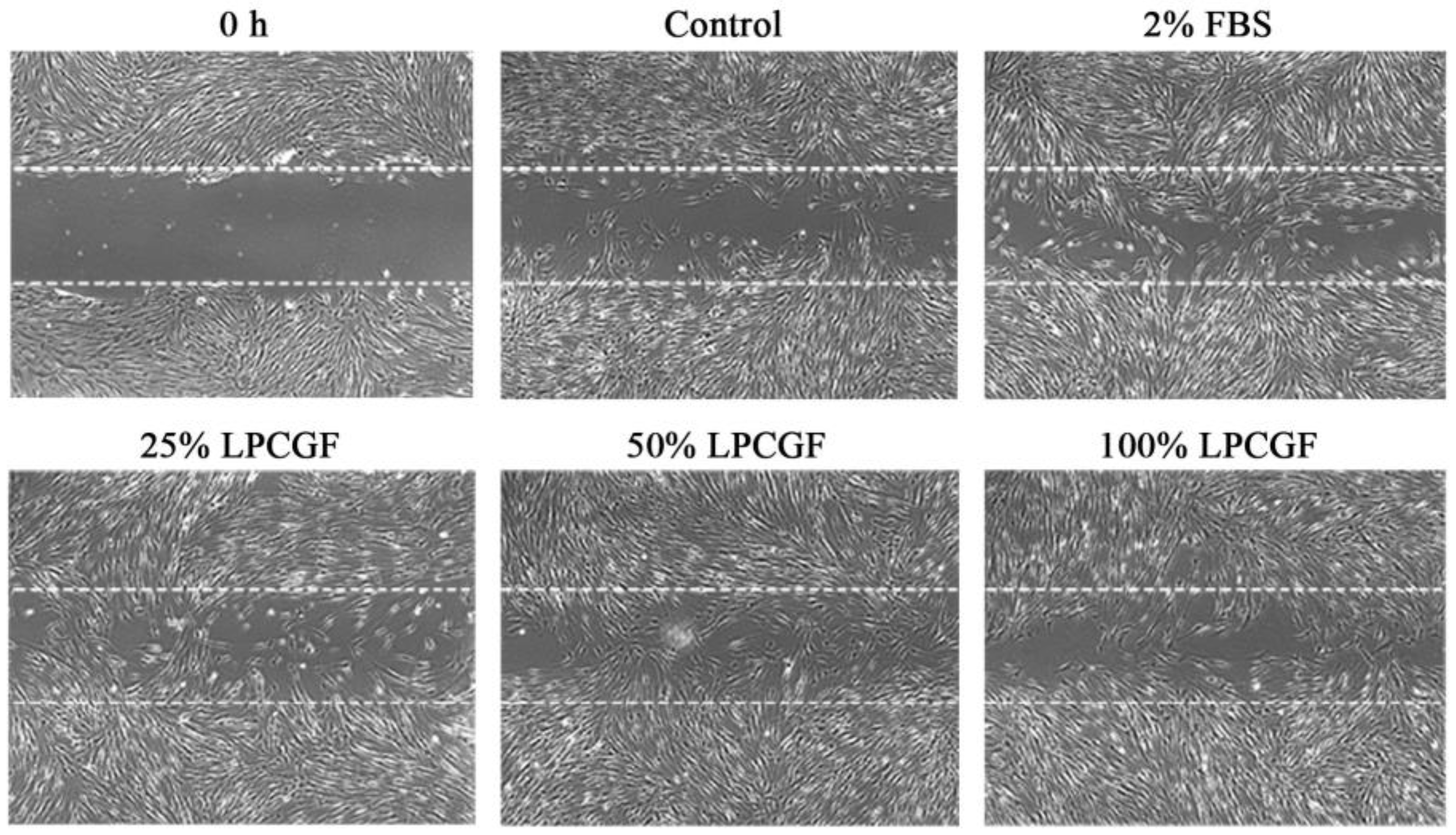Bioengineering 10 00513 g004 Bioengineering 10 00513 g004