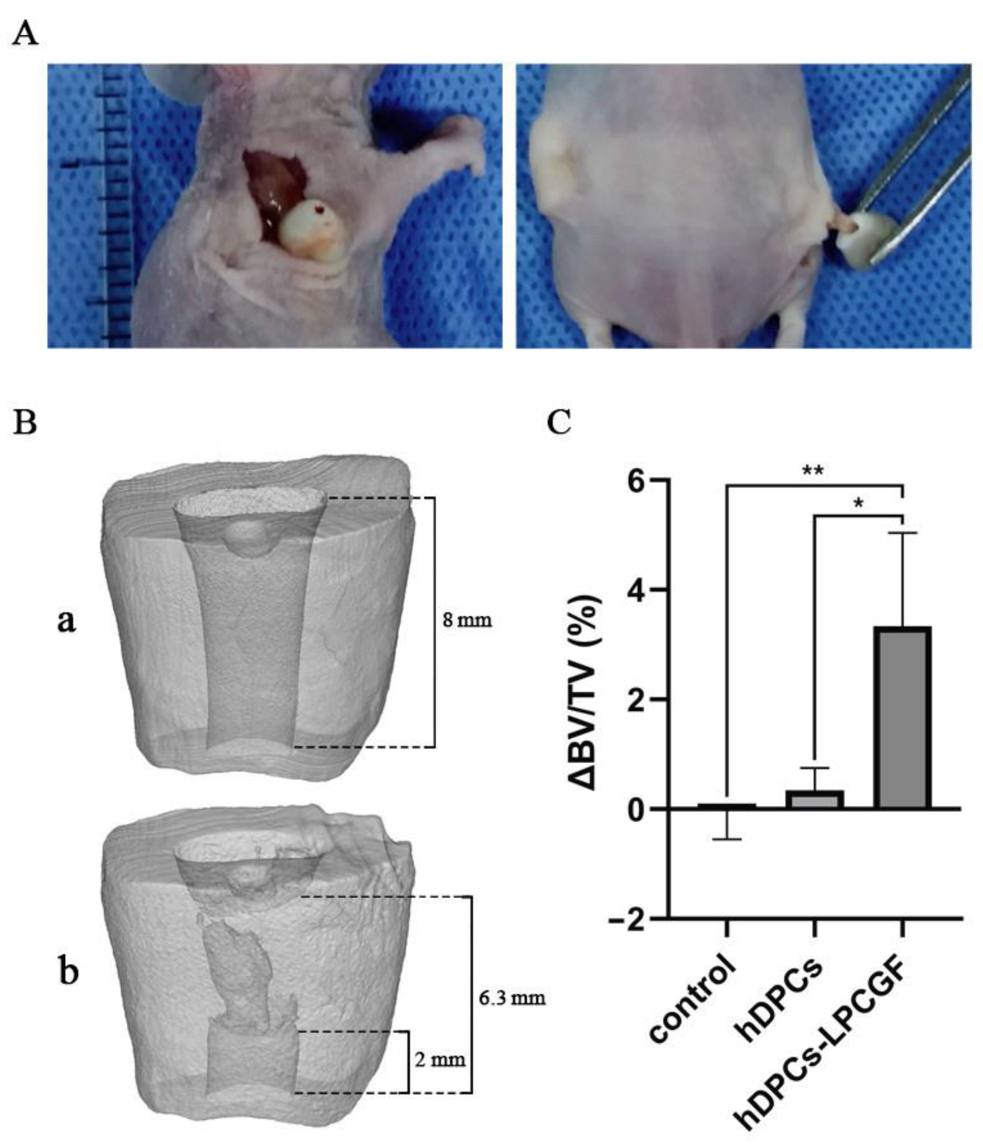 Bioengineering 10 00513 g007 Bioengineering 10 00513 g007