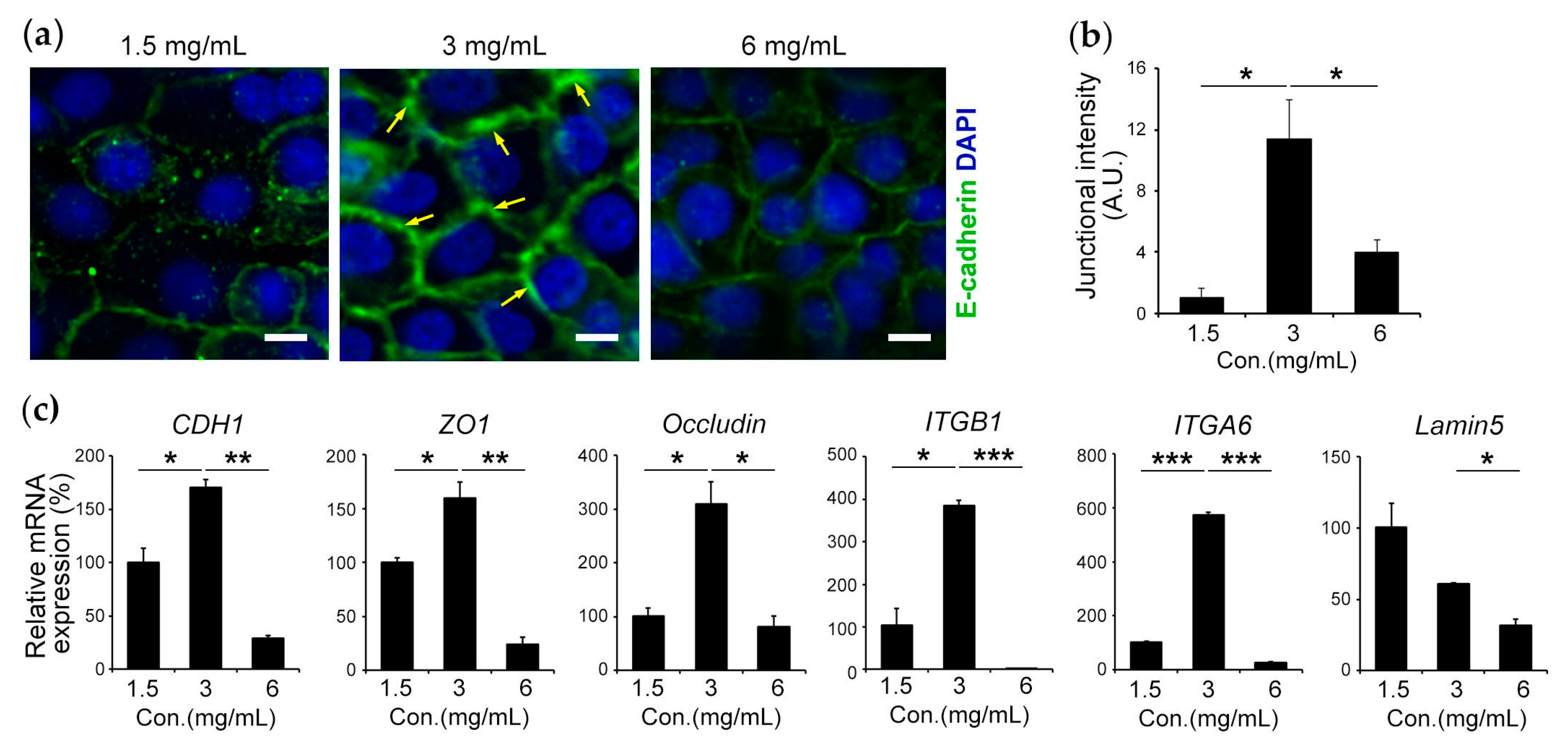 Bioengineering 10 00517 g003
