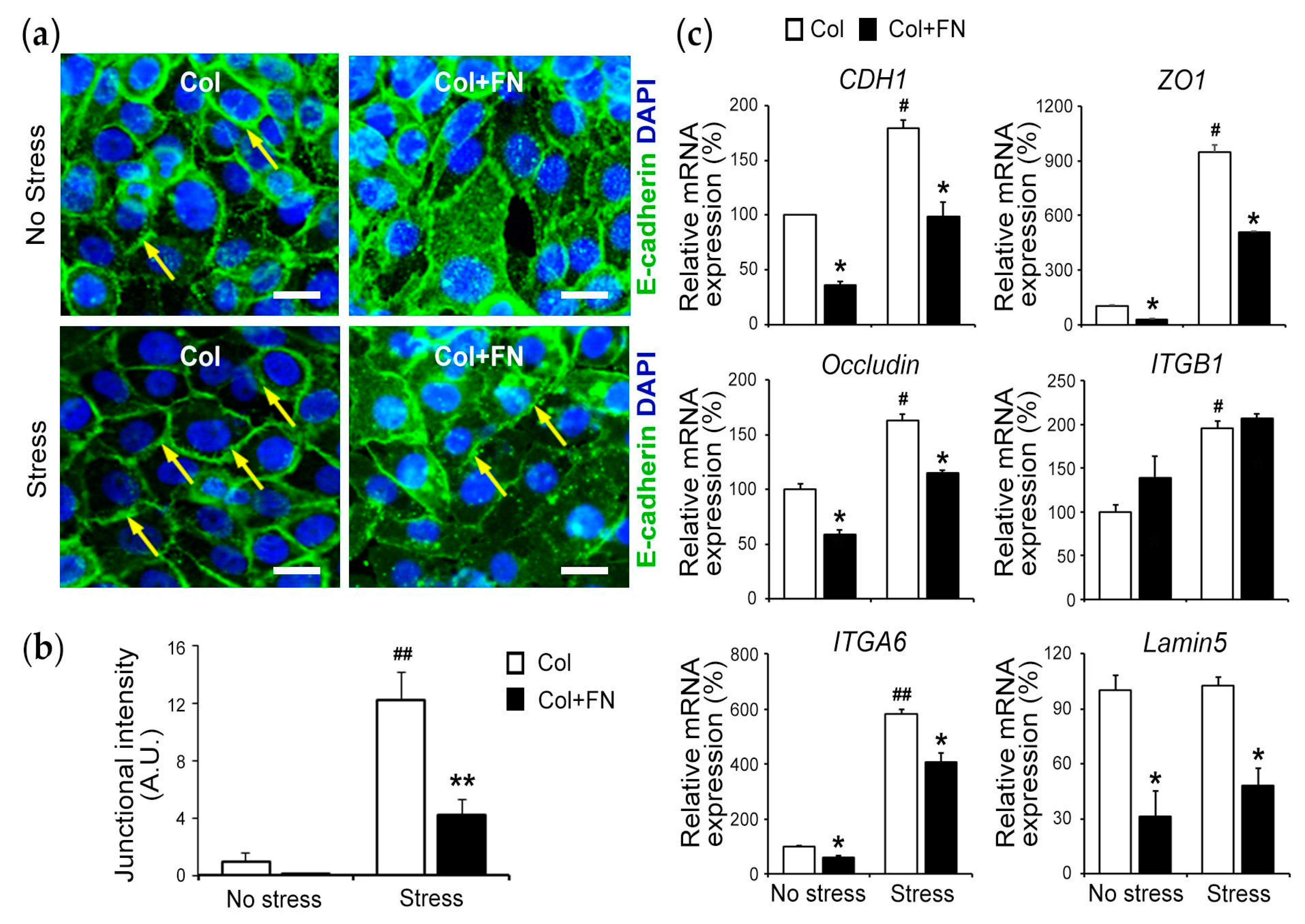 Bioengineering 10 00517 g006