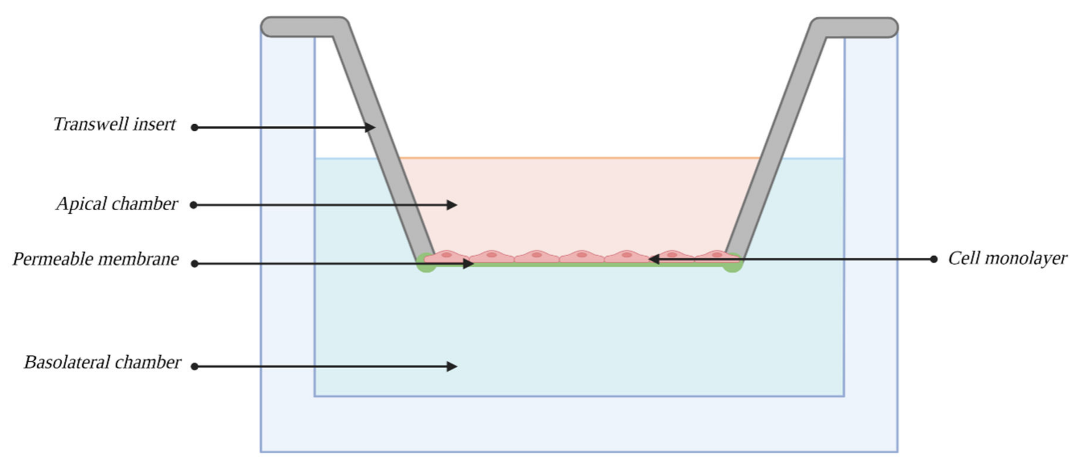 Bioengineering 10 00519 g005