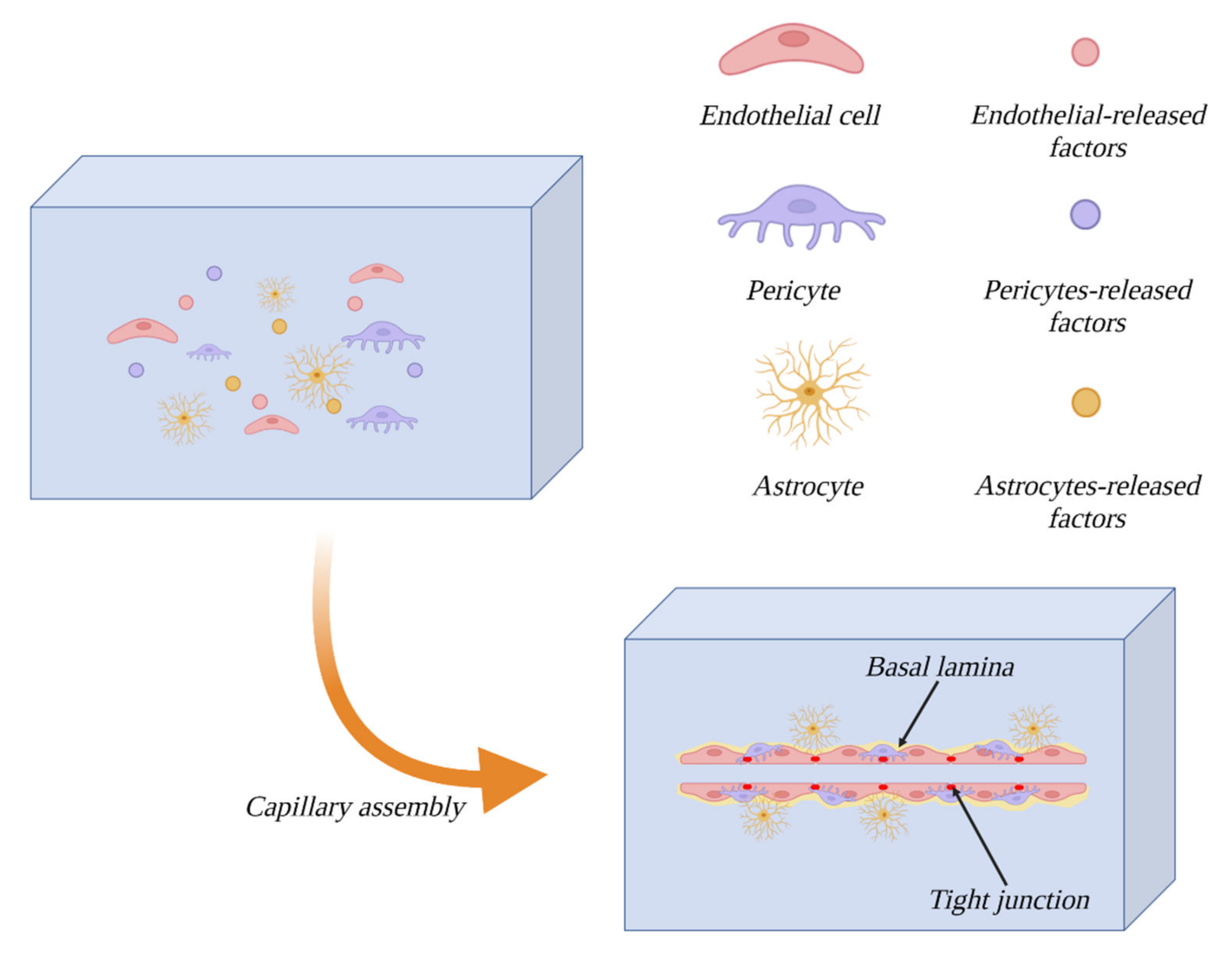 Bioengineering 10 00519 g008