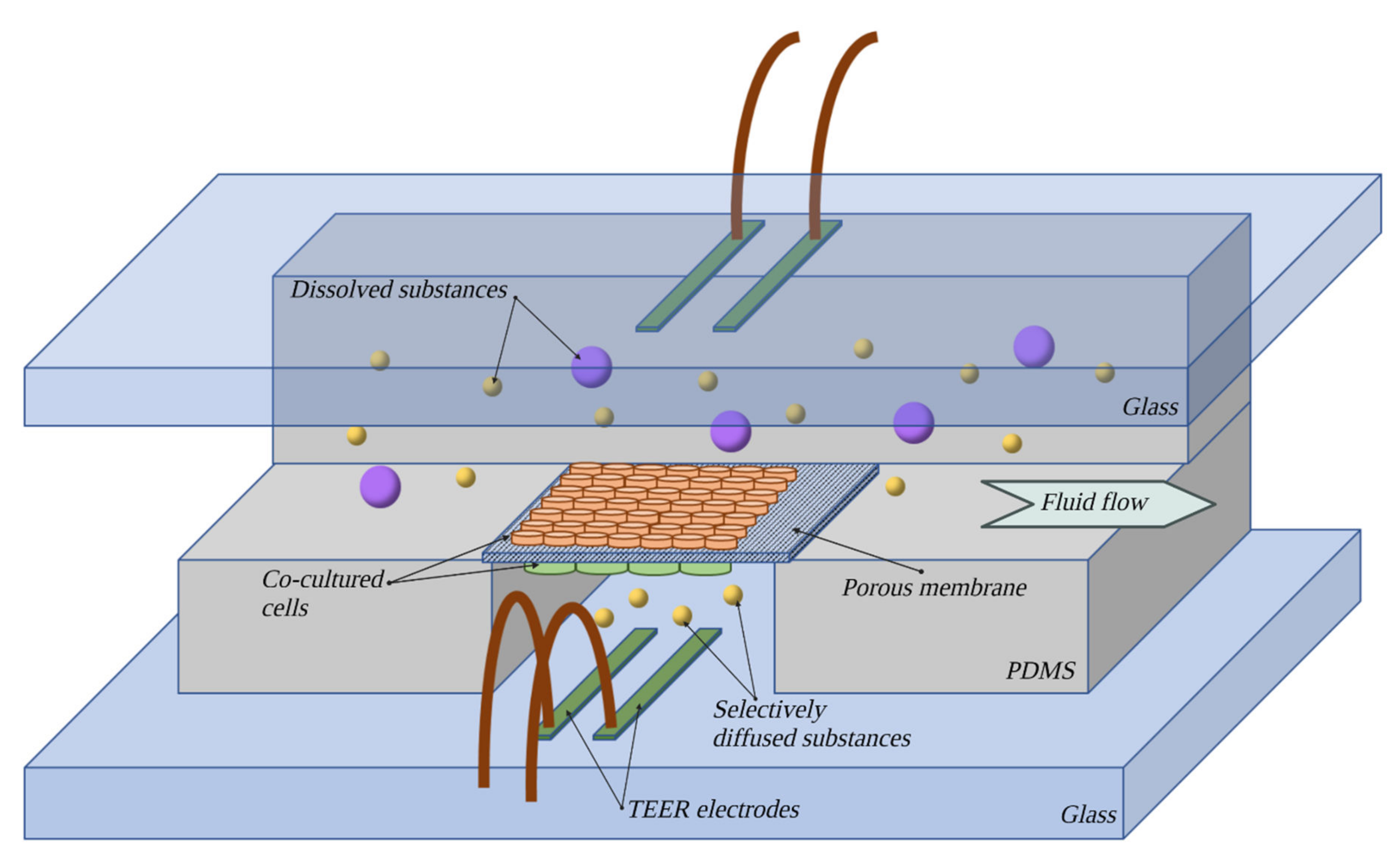 Bioengineering 10 00519 g009
