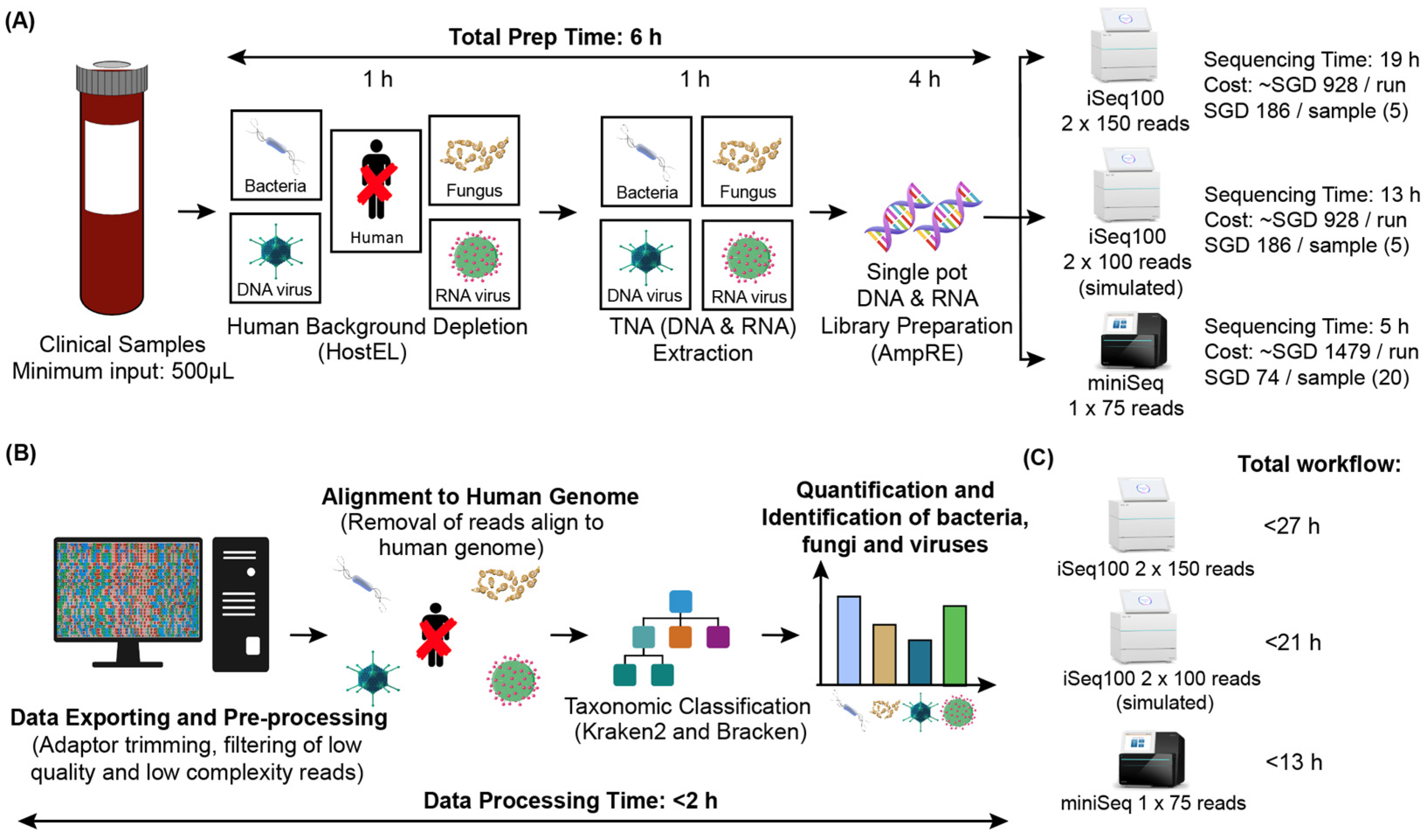 Bioengineering 10 00520 g002