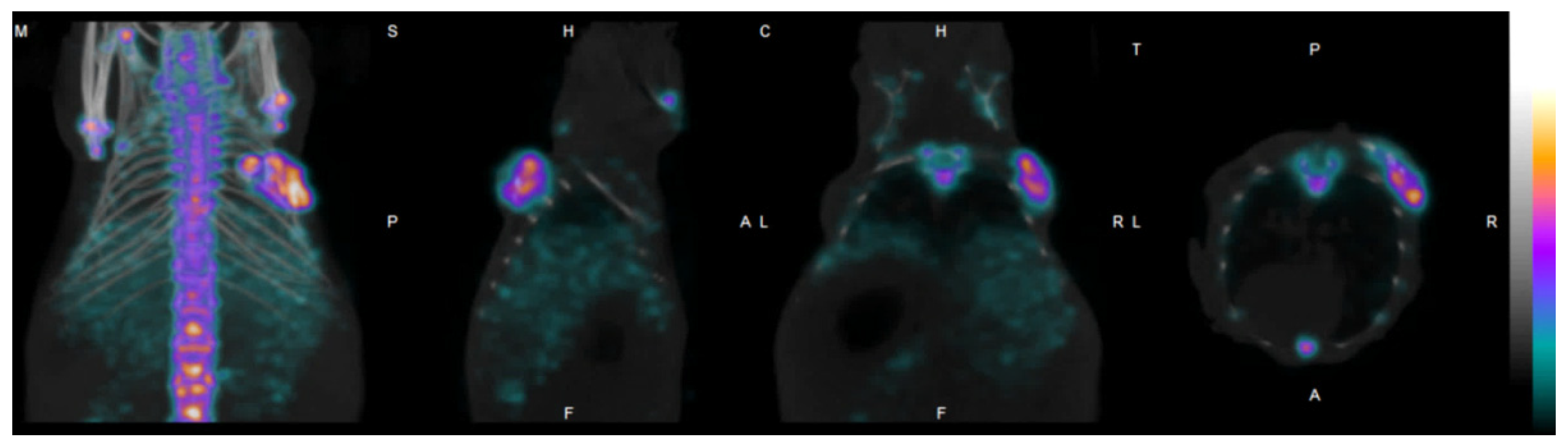 Bioengineering 10 00521 g001 Bioengineering 10 00521 g001