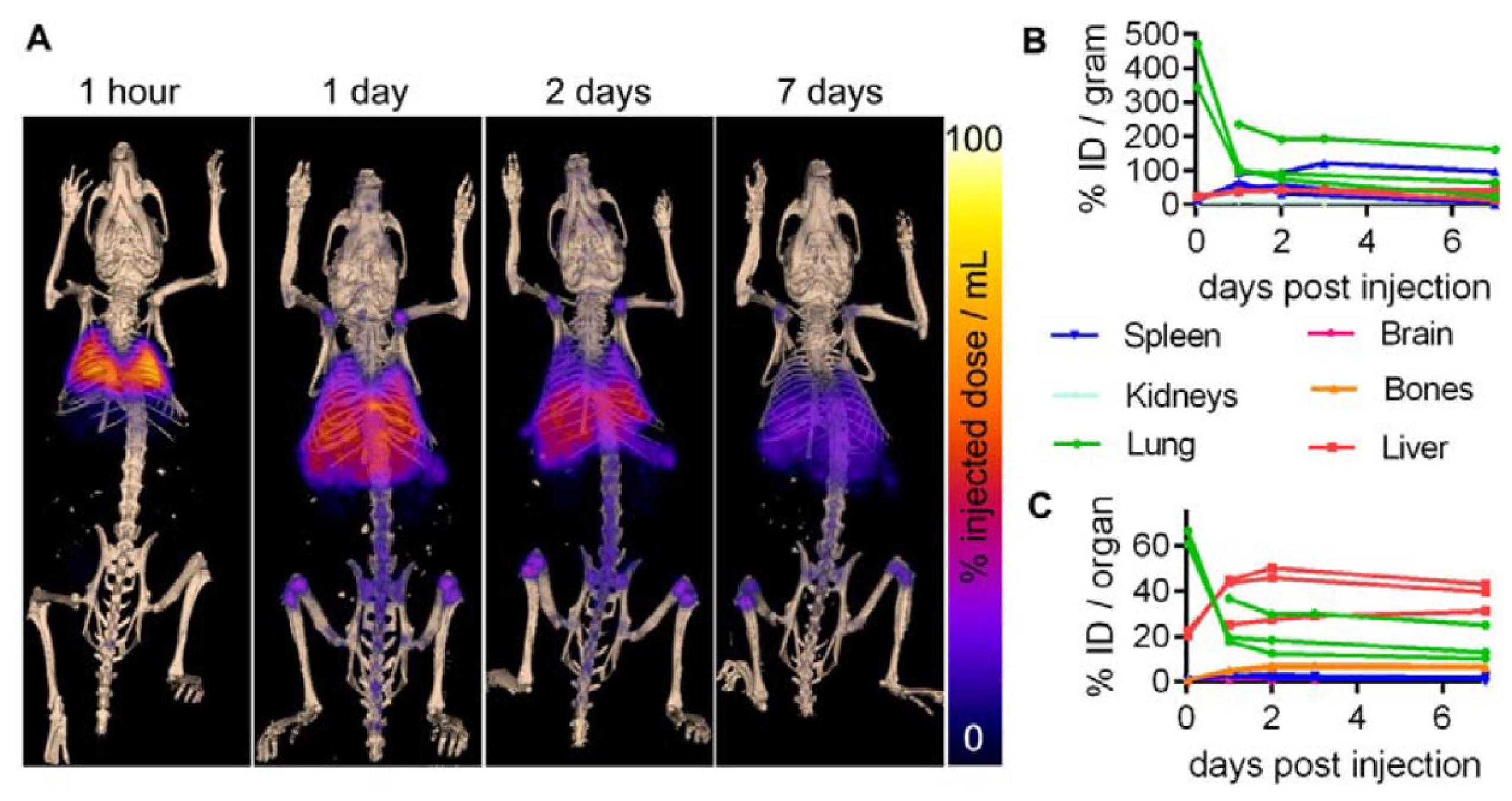 Bioengineering 10 00521 g003 Bioengineering 10 00521 g003