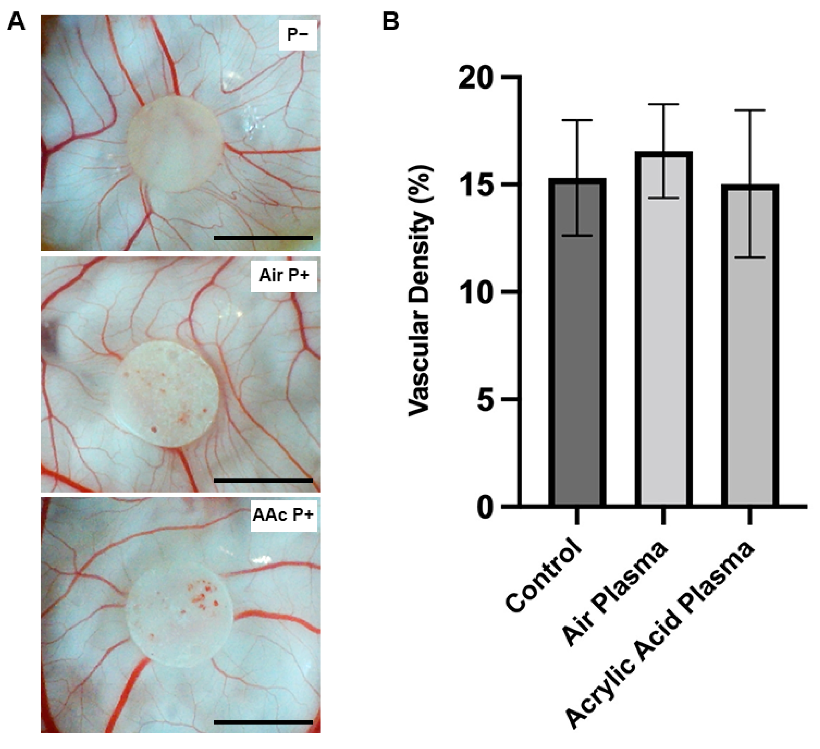 Bioengineering 10 00522 g006