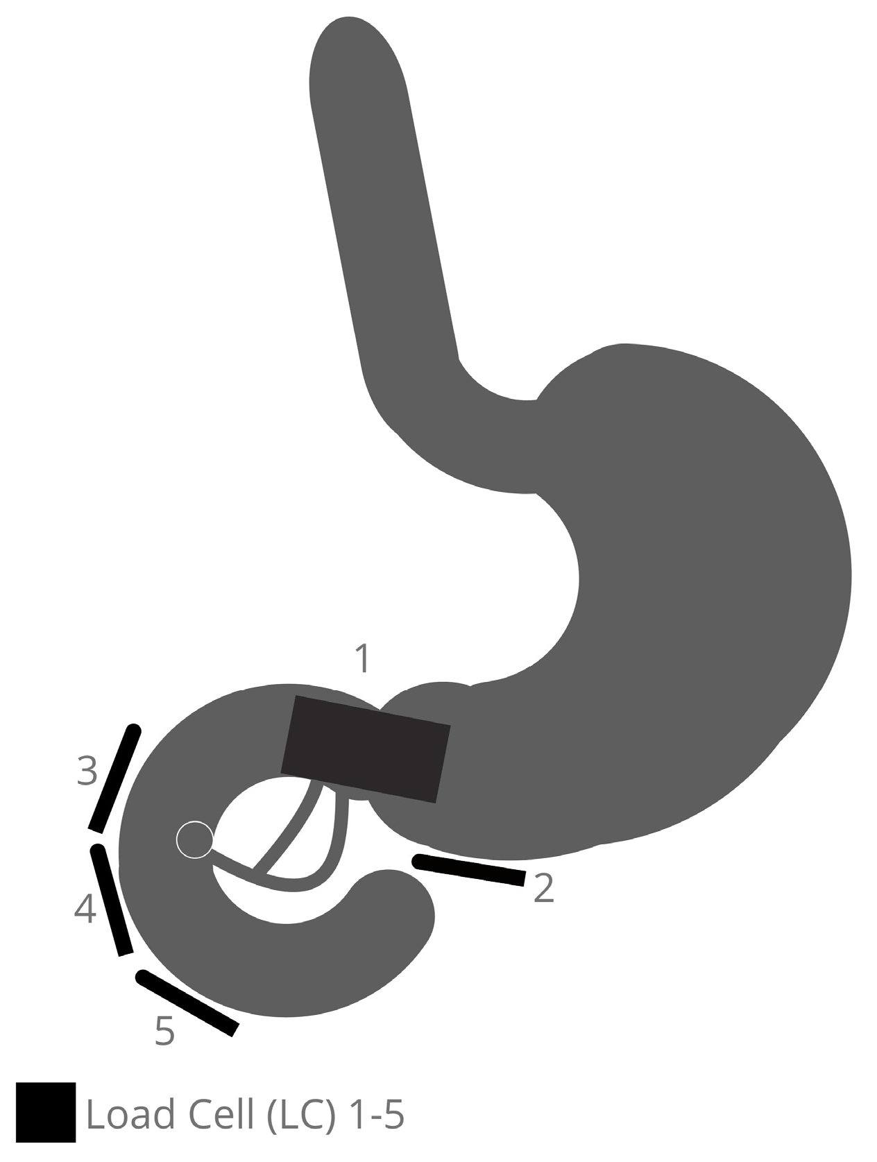 Bioengineering 10 00523 g001