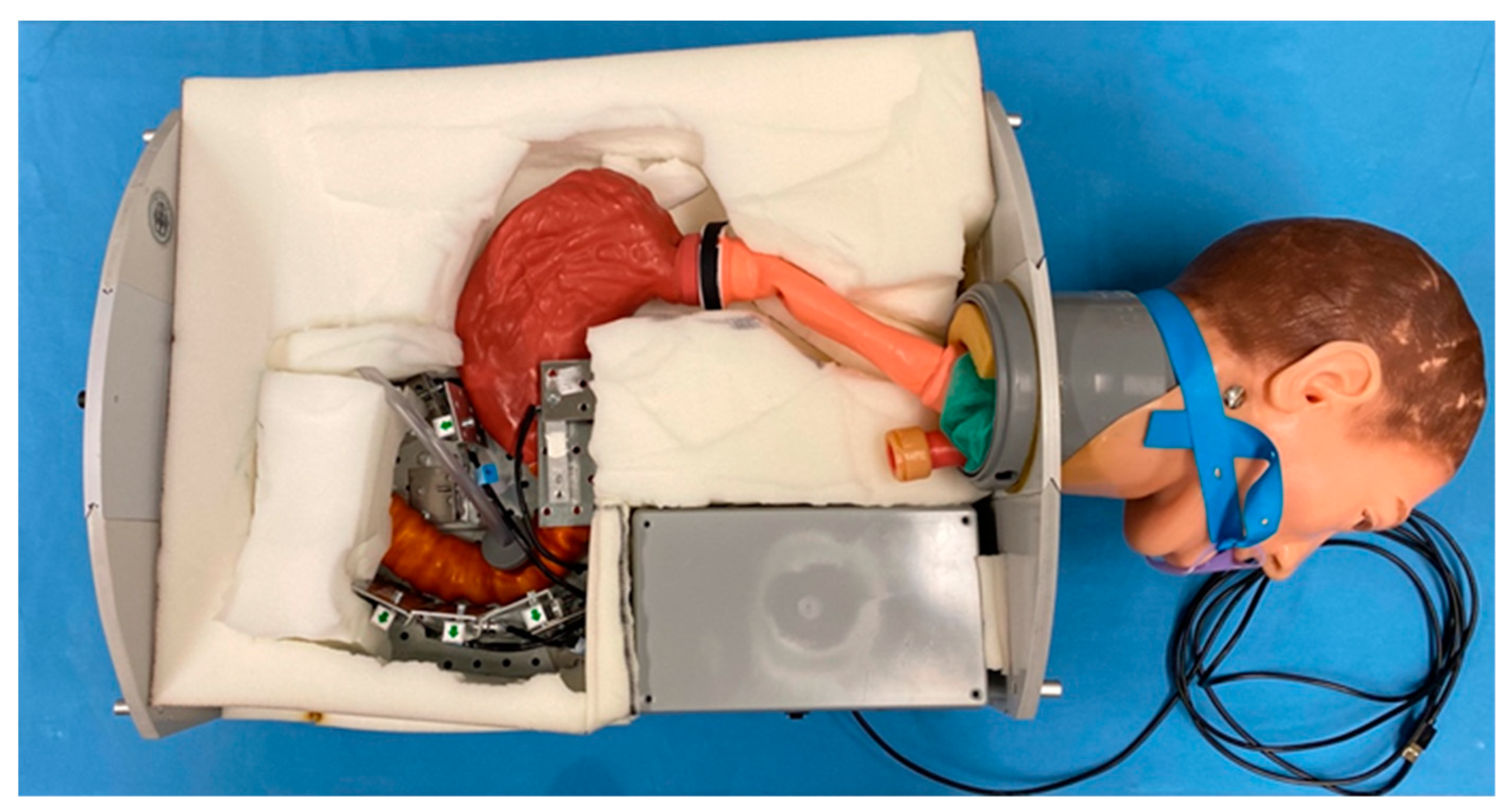 Bioengineering 10 00523 g002