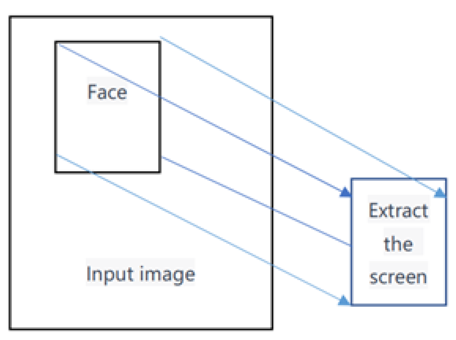 Bioengineering 10 00524 g002