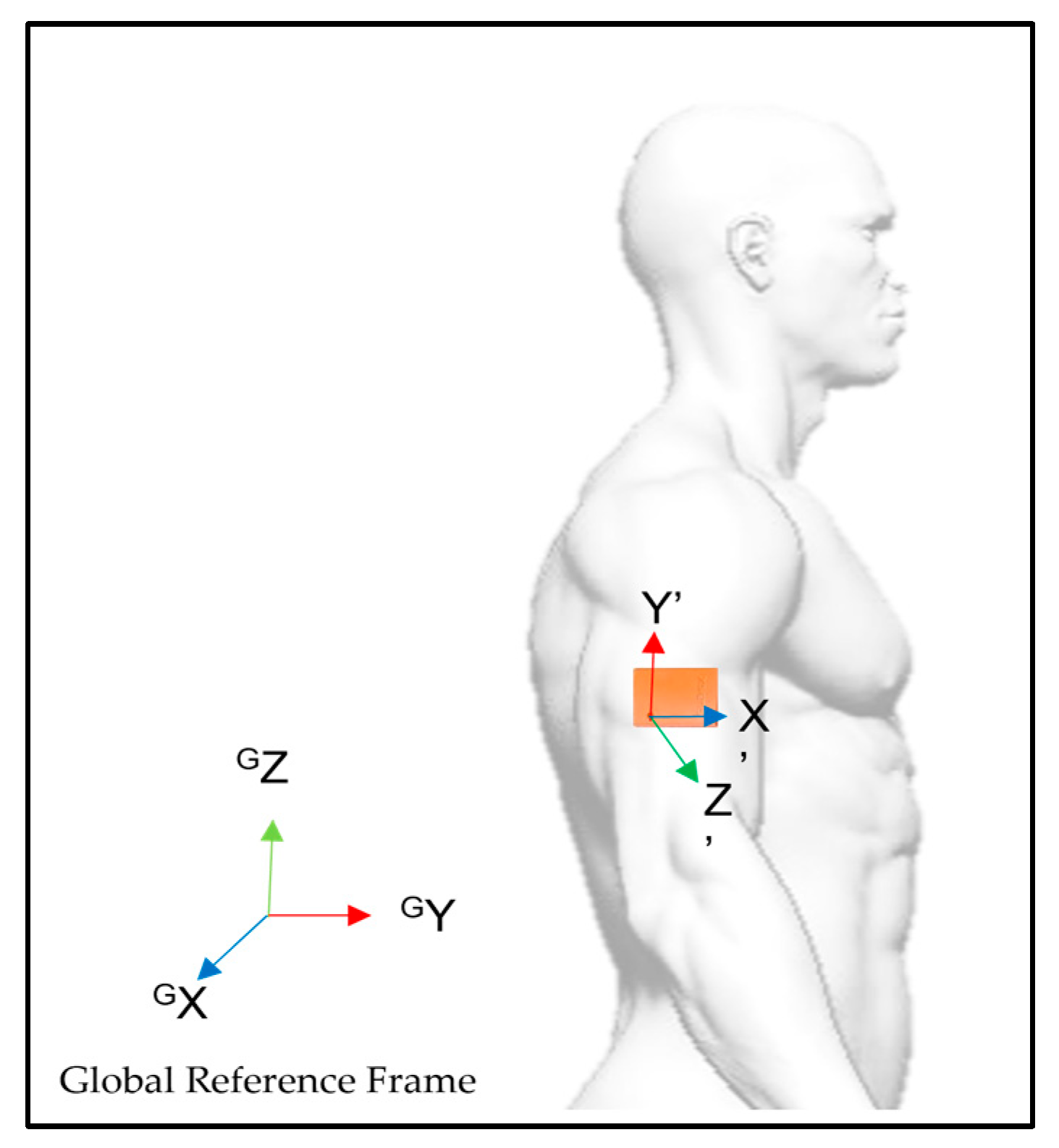 Bioengineering 10 00526 g002 Bioengineering 10 00526 g002