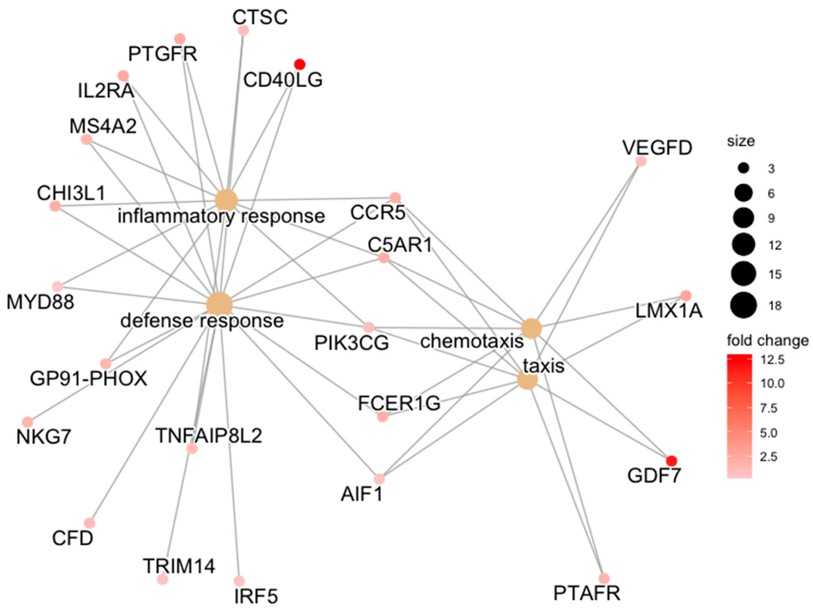 Bioengineering 10 00527 g002 Bioengineering 10 00527 g002