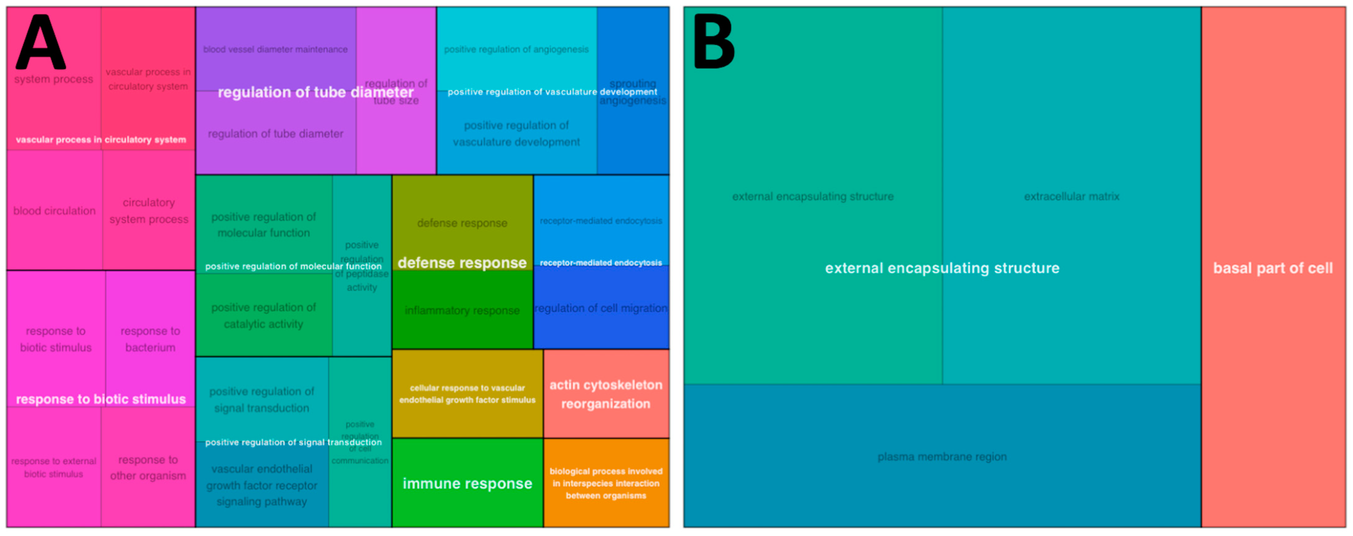 Bioengineering 10 00527 g003 Bioengineering 10 00527 g003