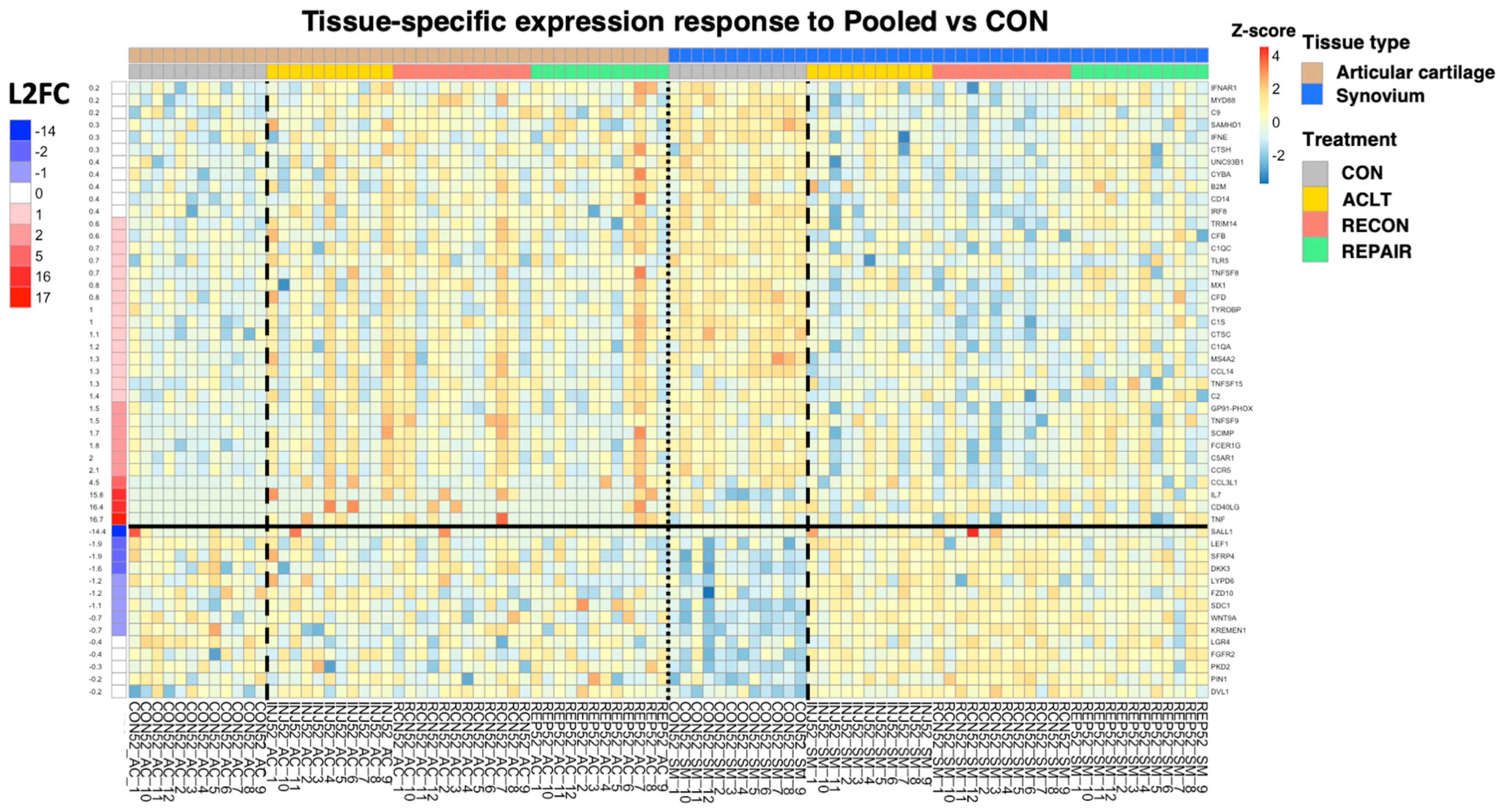 Bioengineering 10 00527 g008 Bioengineering 10 00527 g008