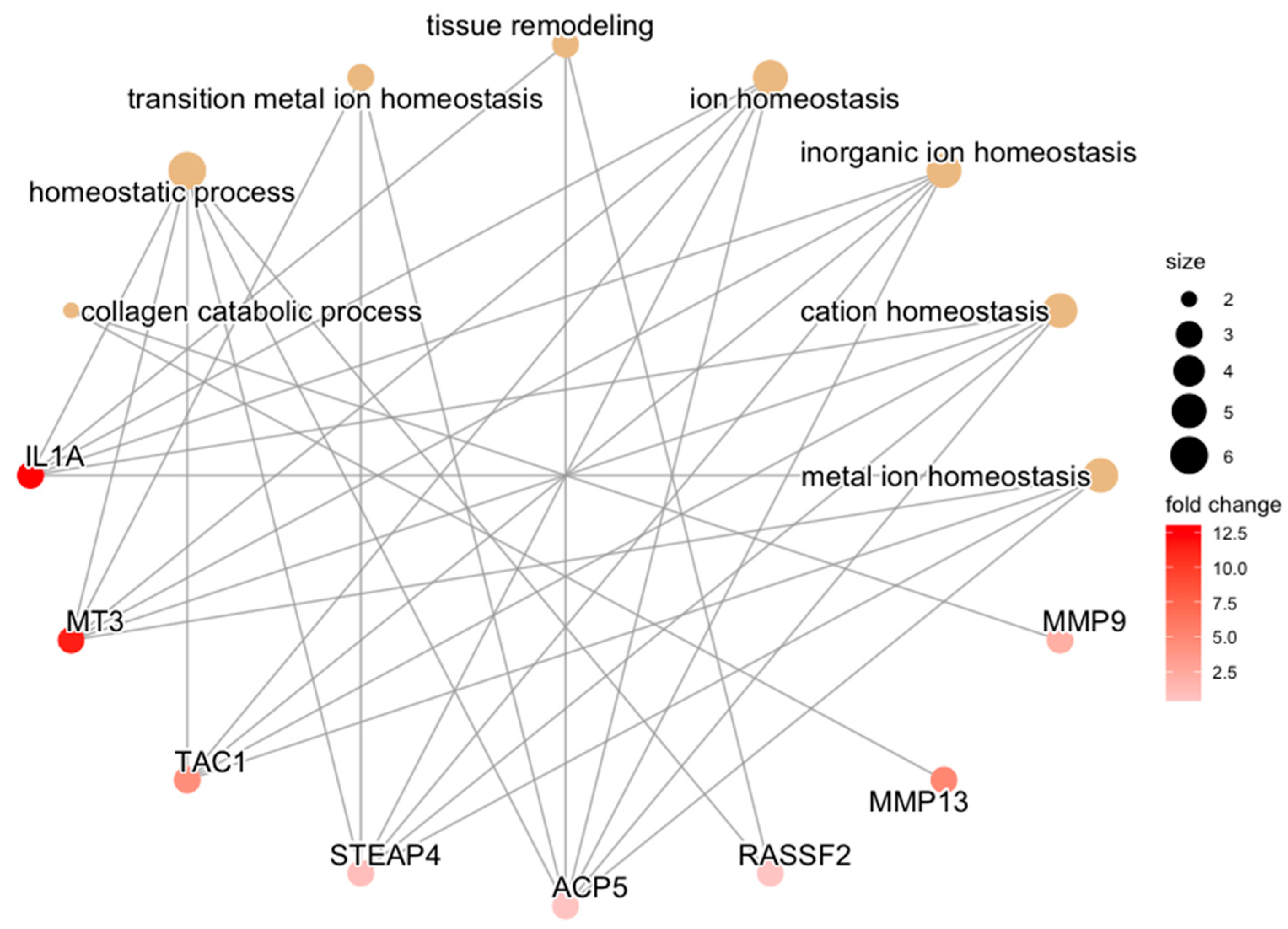Bioengineering 10 00527 g009 Bioengineering 10 00527 g009