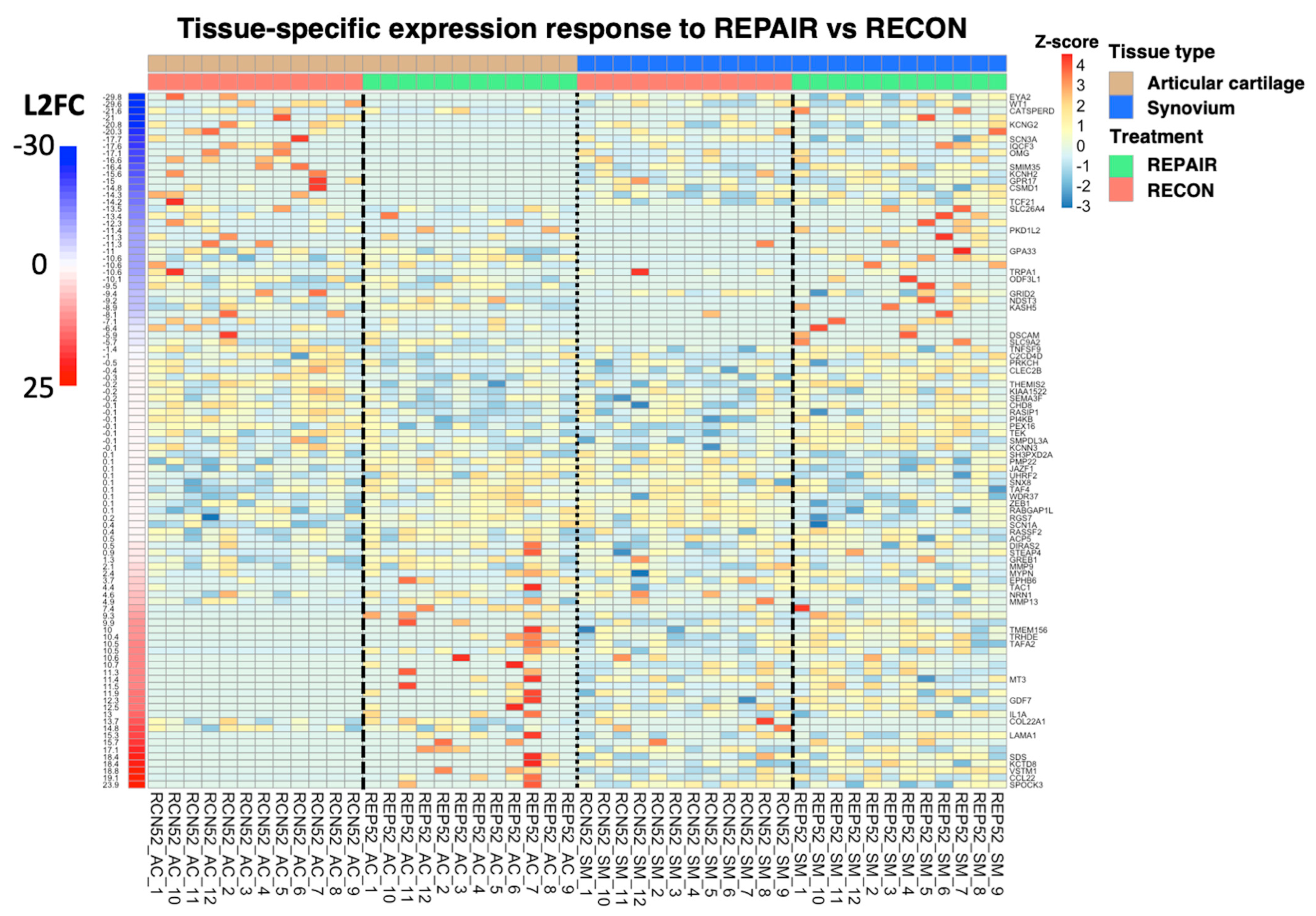 Bioengineering 10 00527 g010 Bioengineering 10 00527 g010