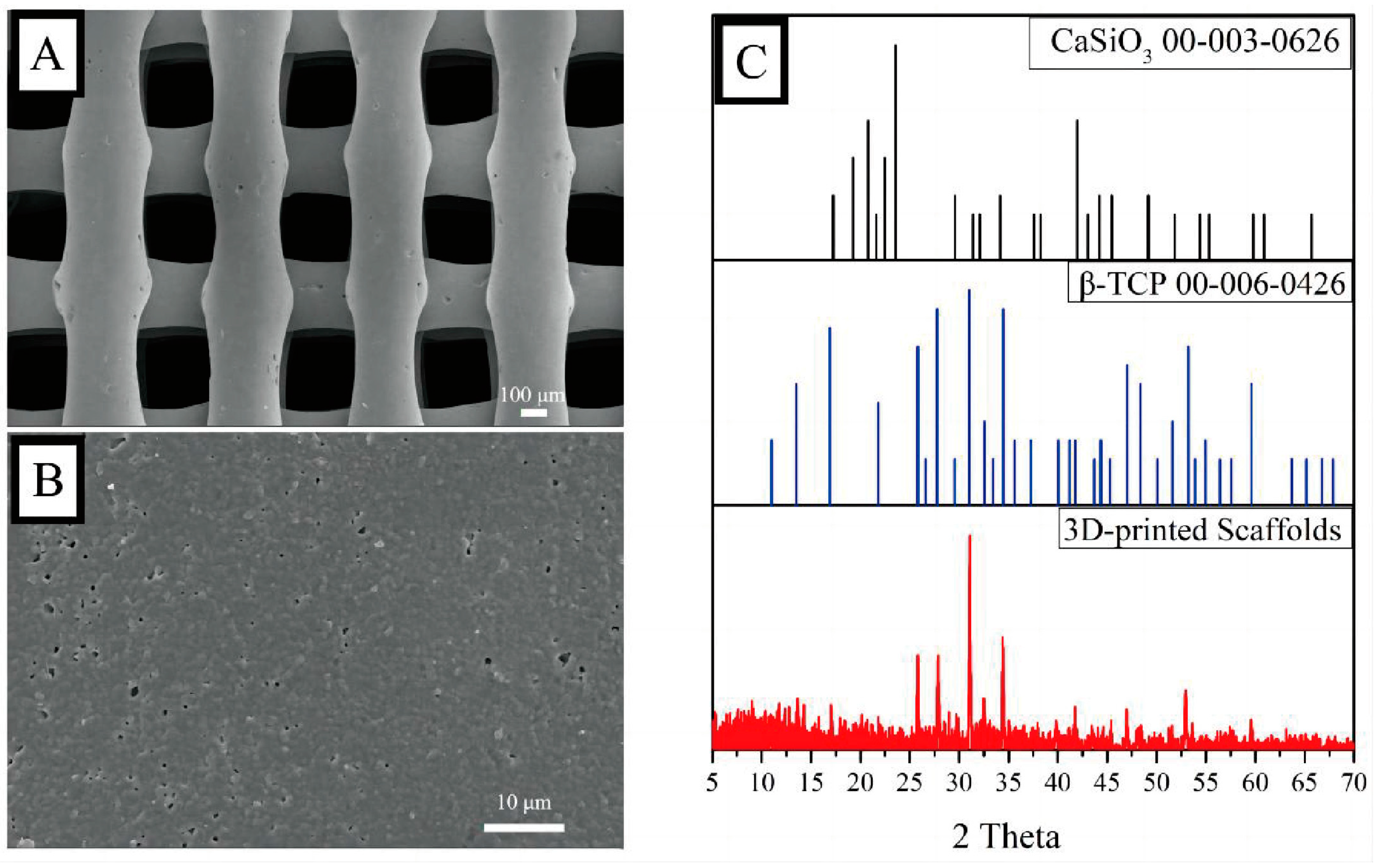 Bioengineering 10 00535 g001