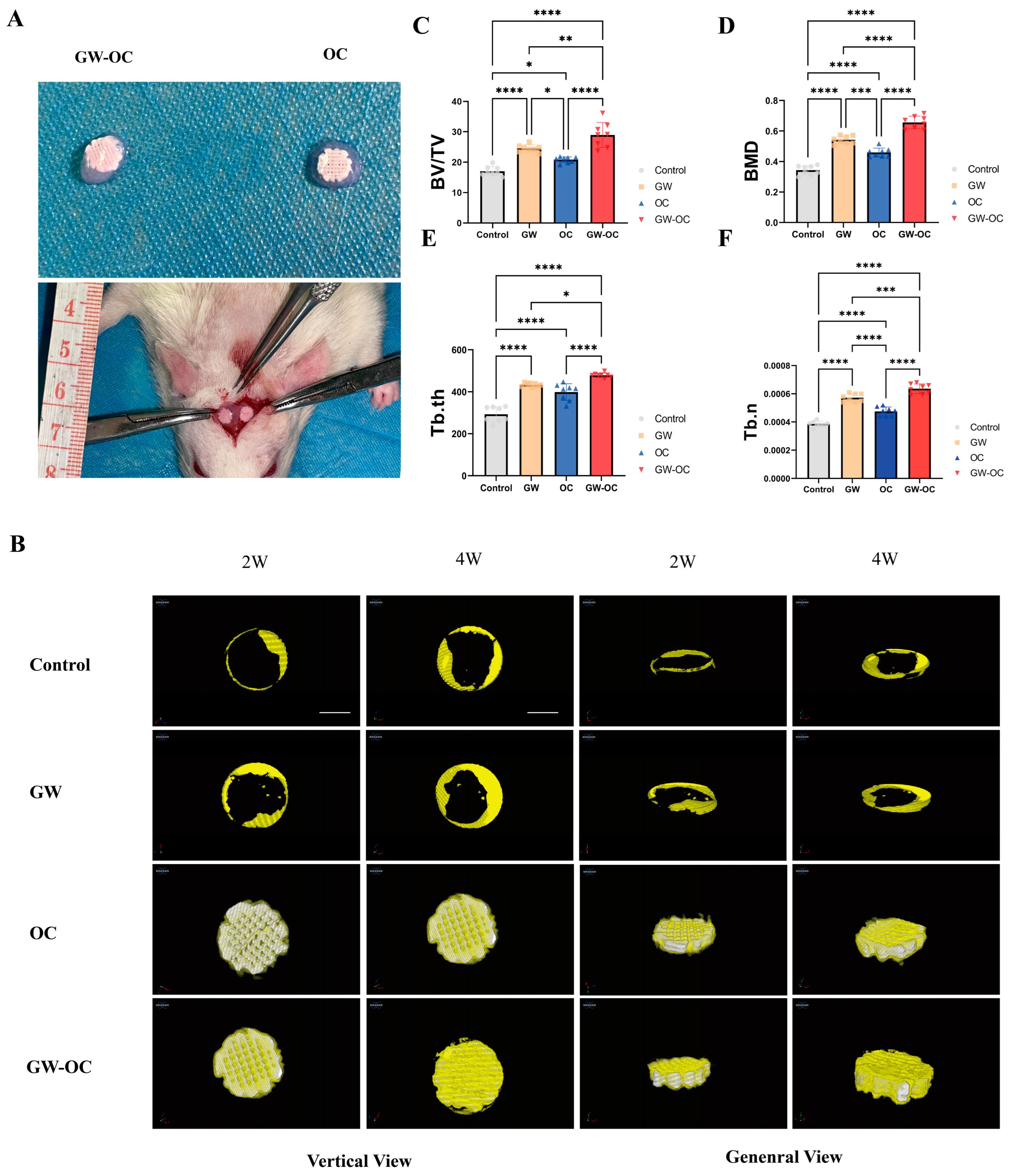 Bioengineering 10 00535 g005