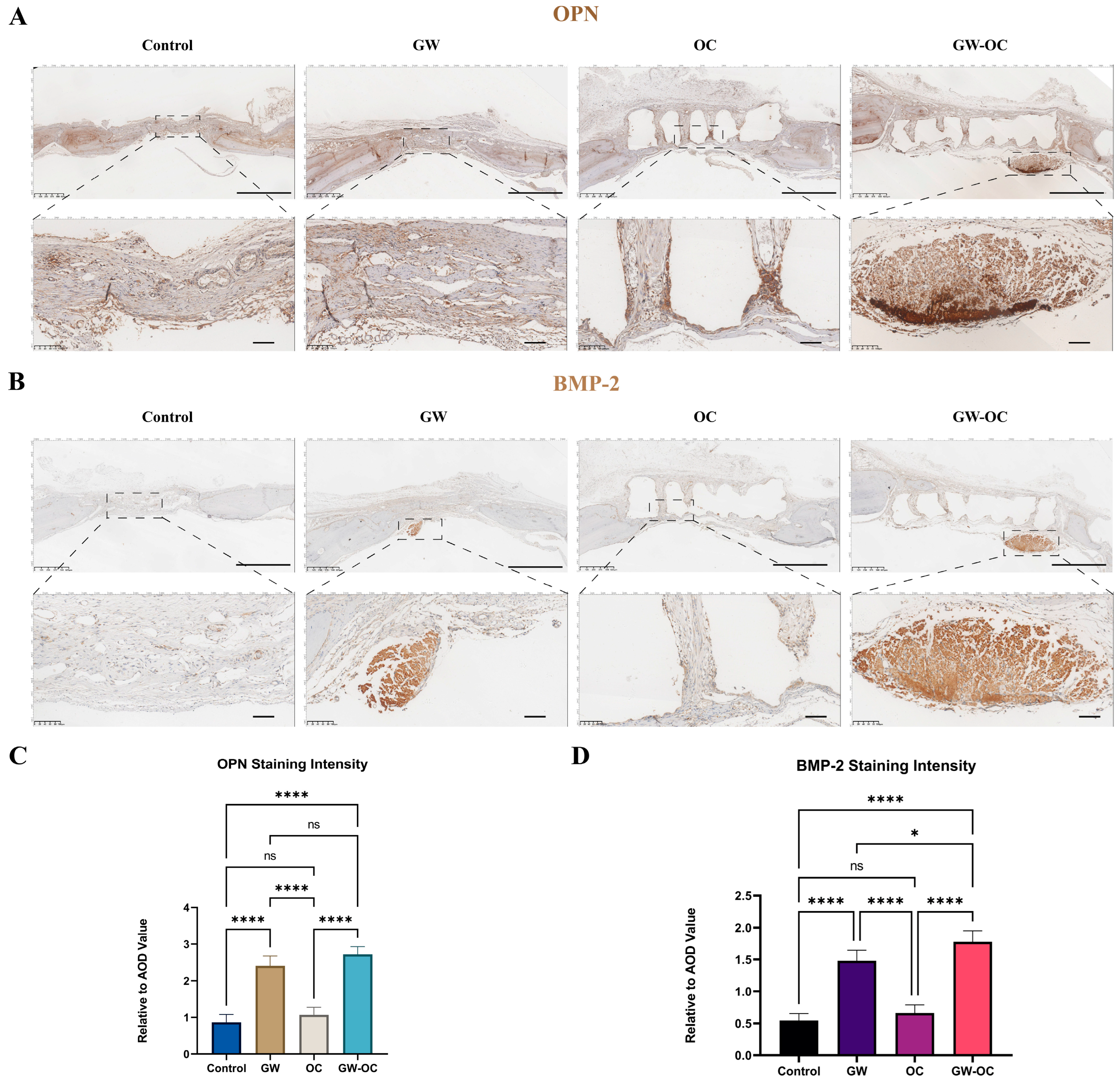 Bioengineering 10 00535 g007