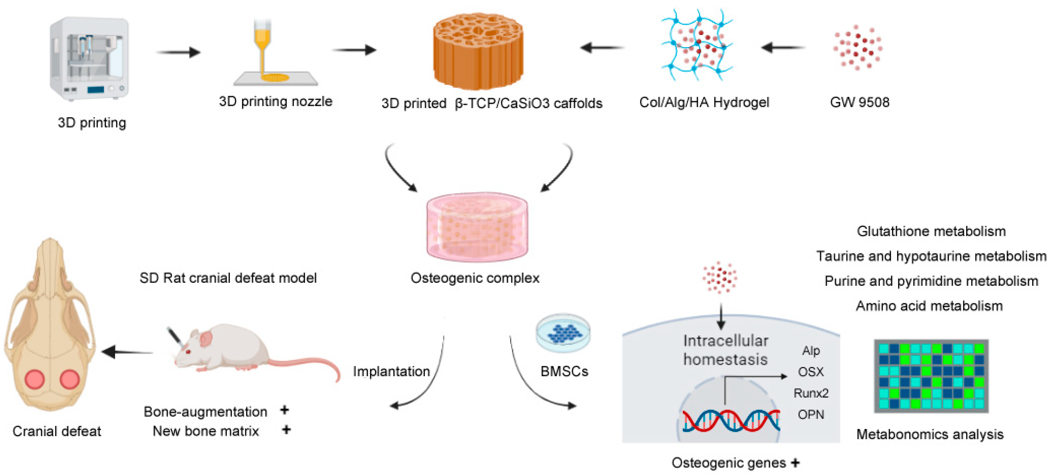 Bioengineering 10 00535 sch001