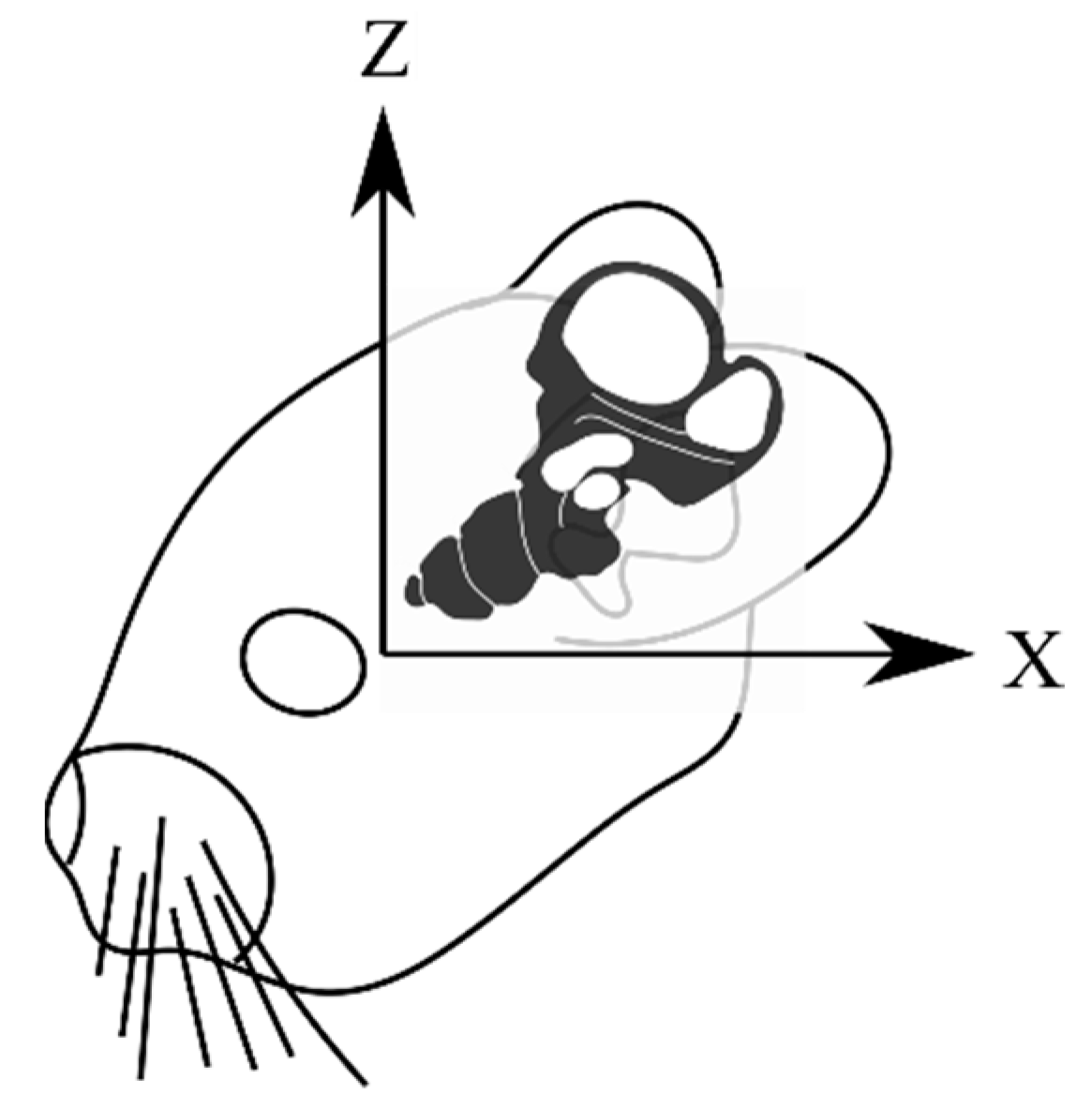 Bioengineering 10 00539 g003 Bioengineering 10 00539 g003