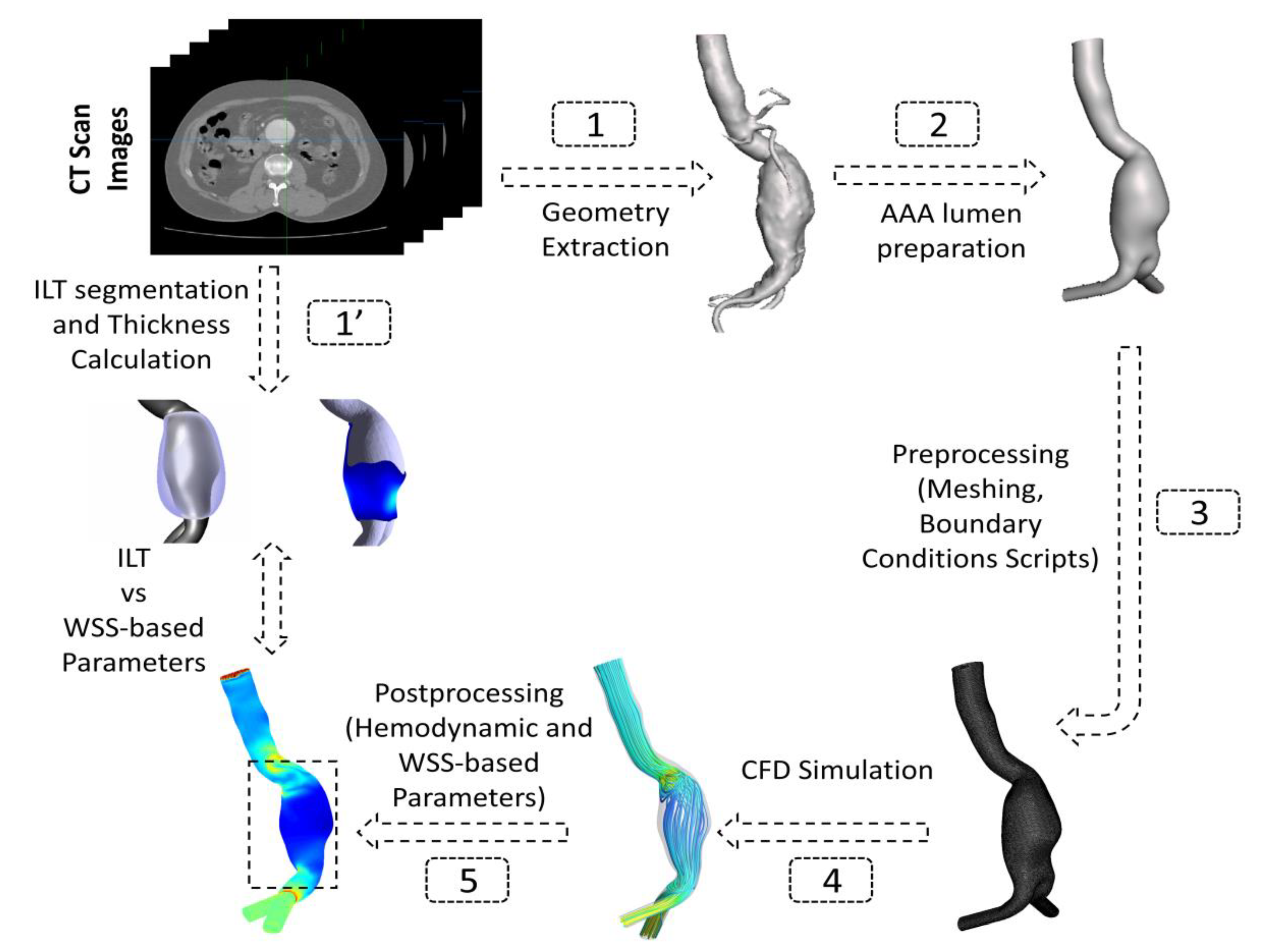 Bioengineering 10 00540 g001 Bioengineering 10 00540 g001