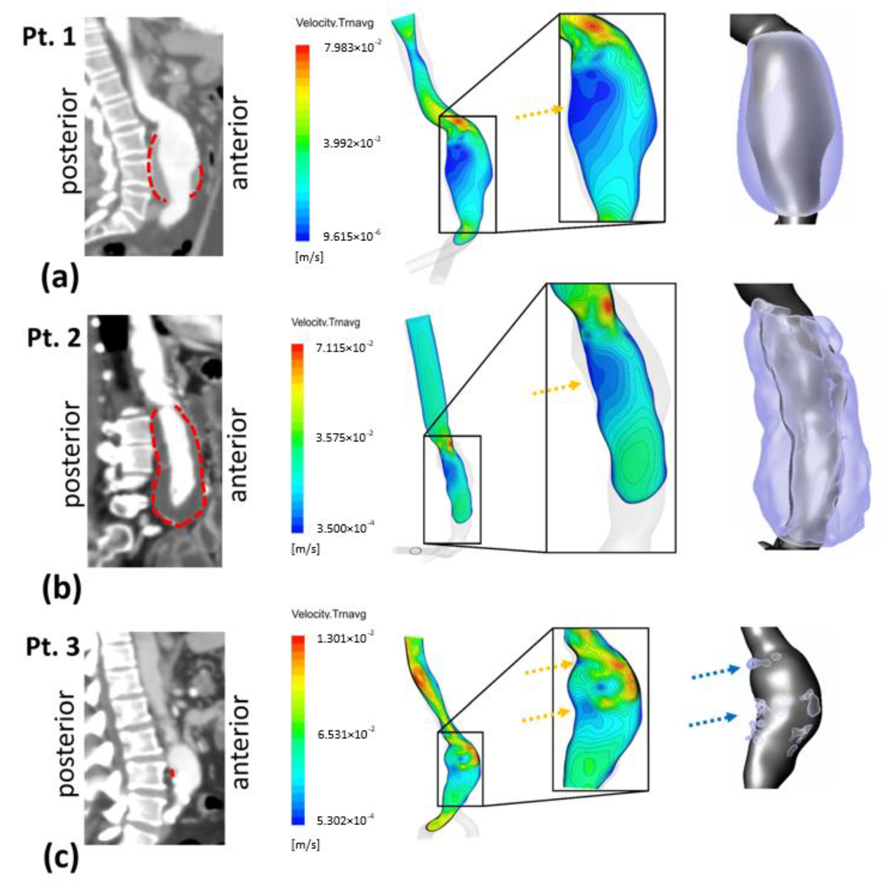 Bioengineering 10 00540 g004 Bioengineering 10 00540 g004