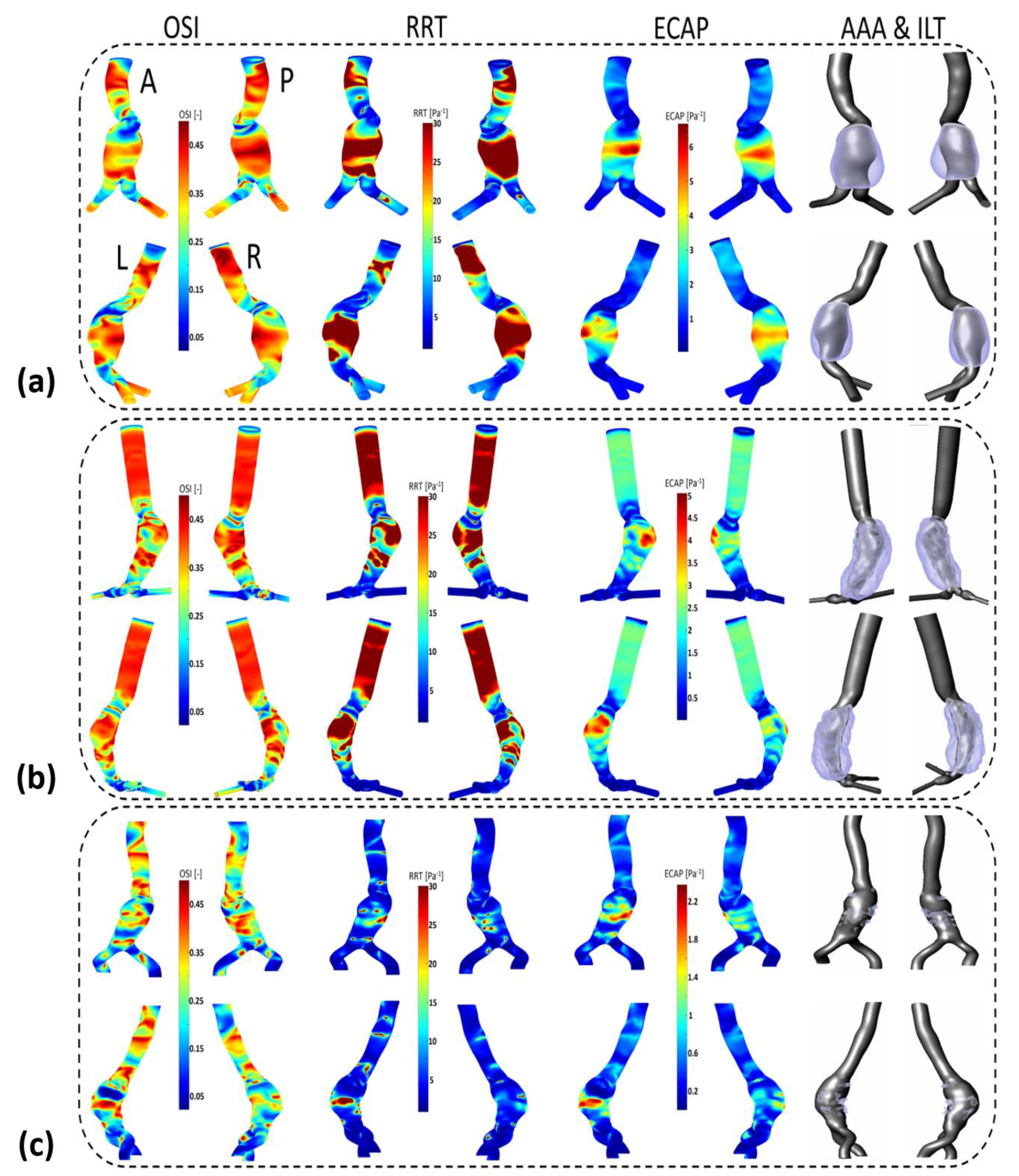 Bioengineering 10 00540 g0a4 Bioengineering 10 00540 g0a4