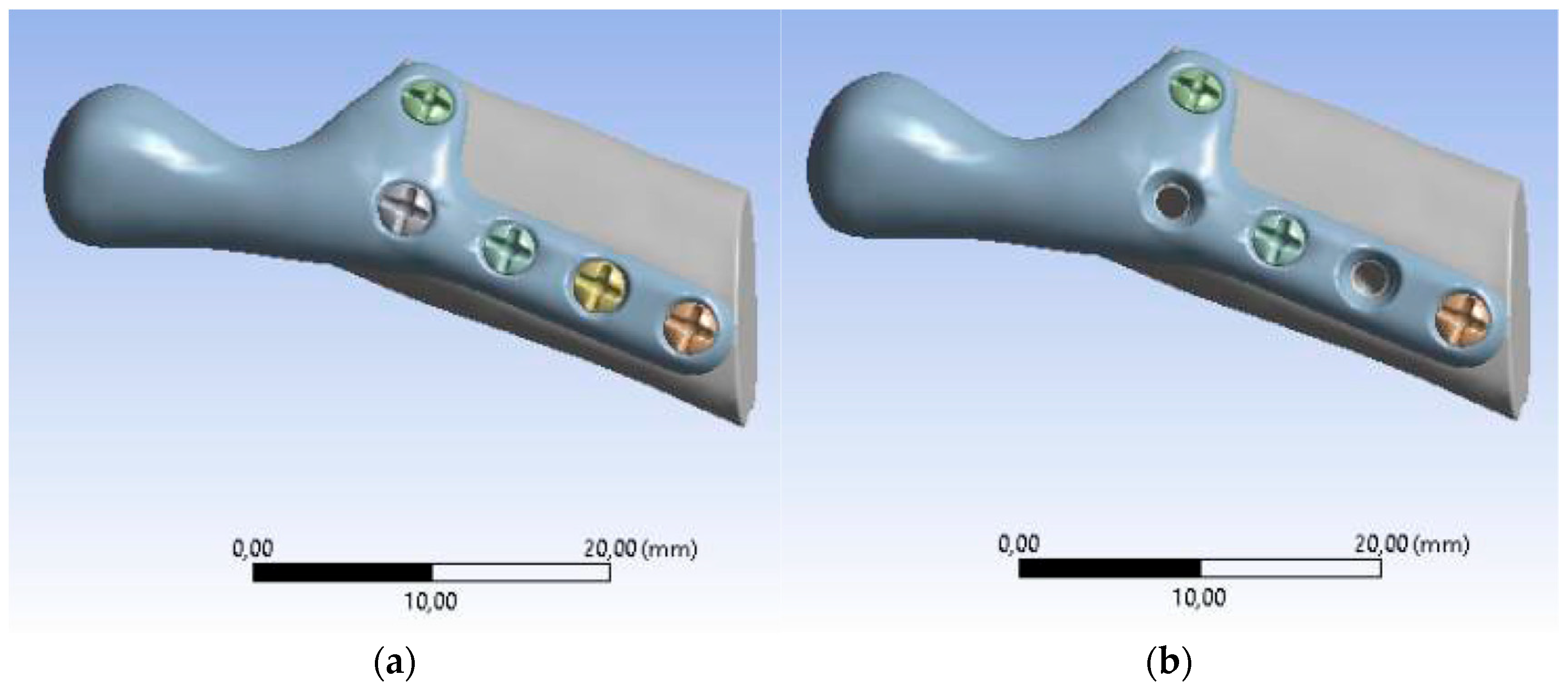 Bioengineering 10 00541 g004 Bioengineering 10 00541 g004
