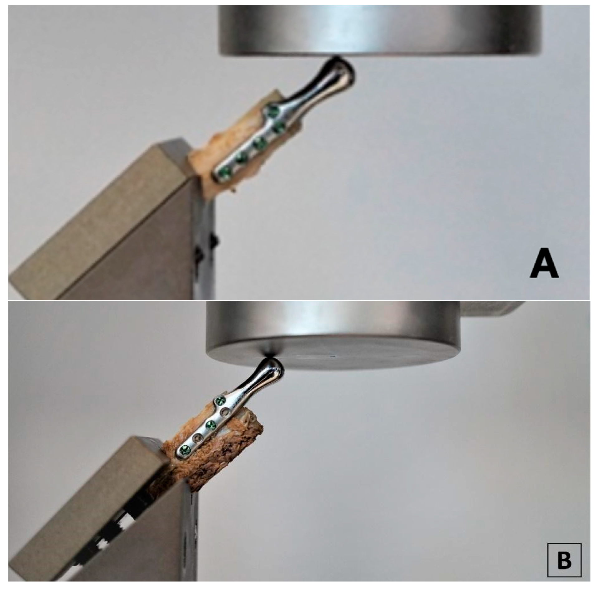 Bioengineering 10 00541 g005 Bioengineering 10 00541 g005