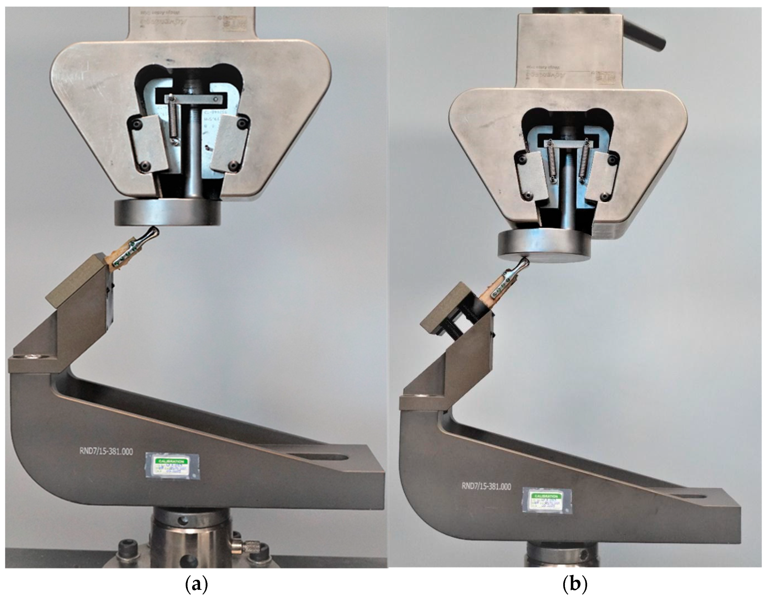 Bioengineering 10 00541 g006 Bioengineering 10 00541 g006