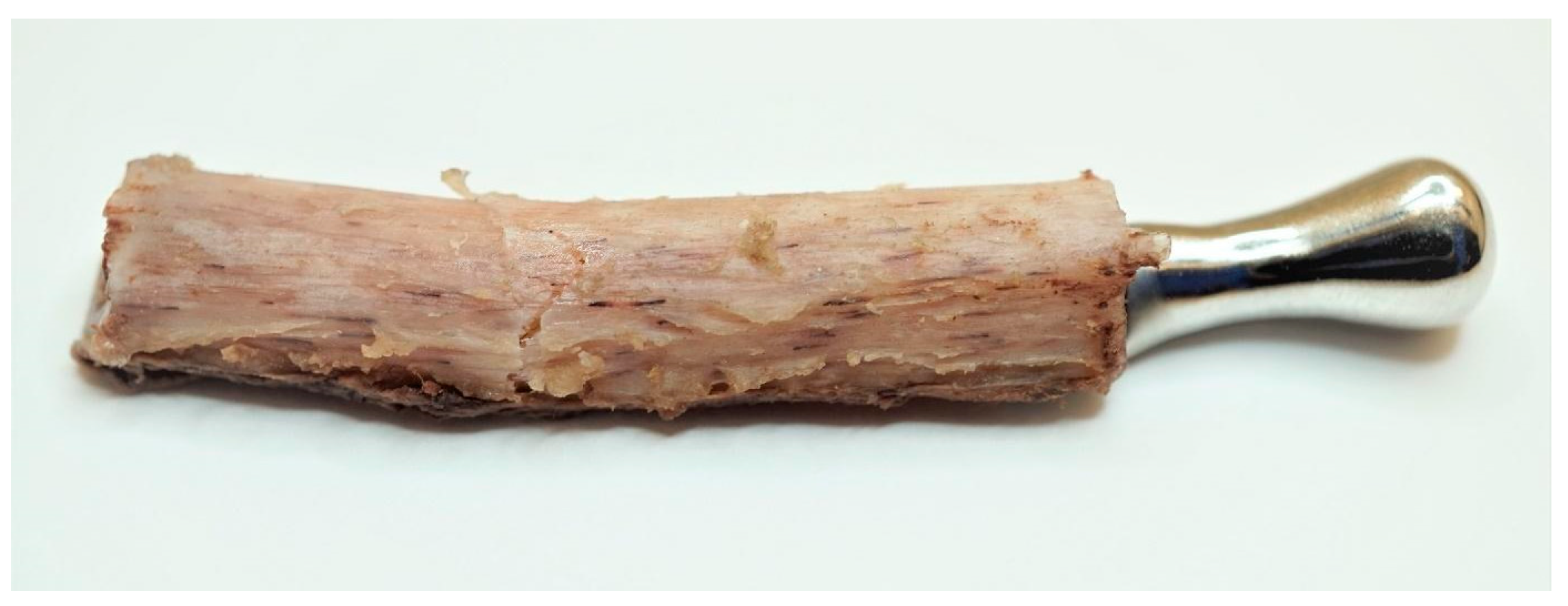 Bioengineering 10 00541 g008 Bioengineering 10 00541 g008